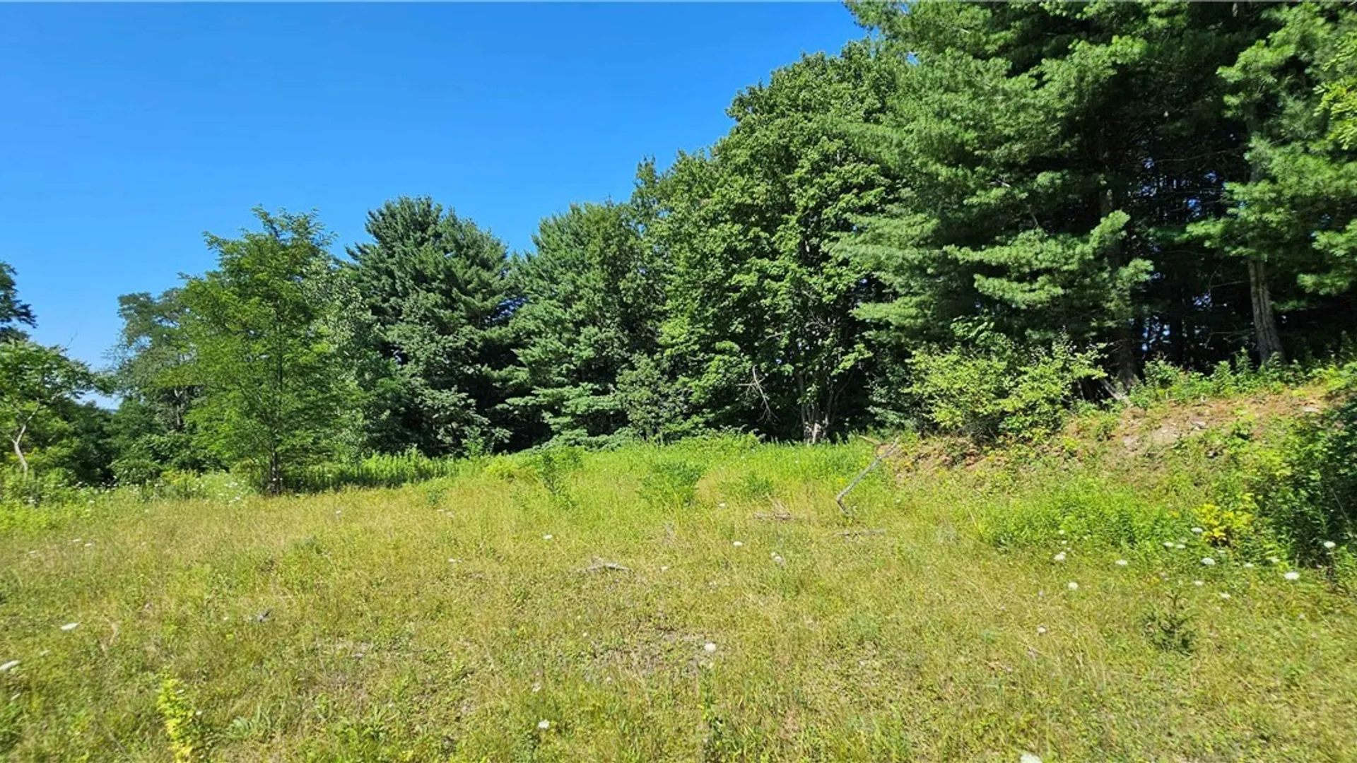 Property at Hilton Road, Dryden, NY 13053 8