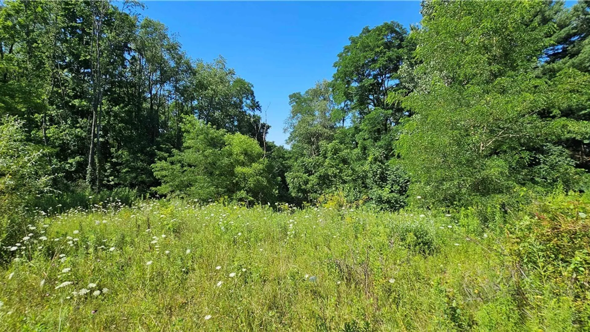 Property at Hilton Road, Dryden, NY 13053 9