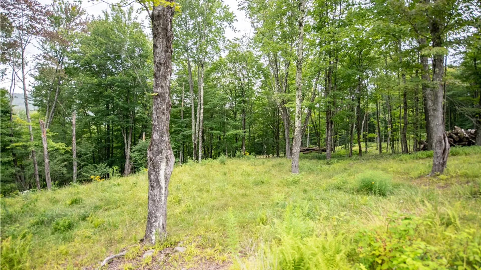 Property at Lot 8 Beaver Creek Hollow Road, Andes, NY 13752 3