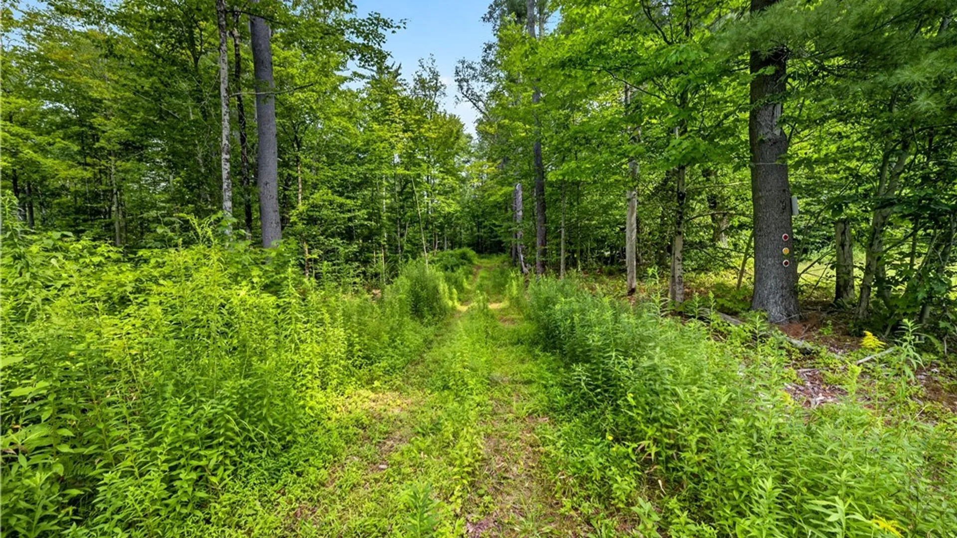 Property at 107 Kasoag Lake Road, Williamstown, NY 13302 39