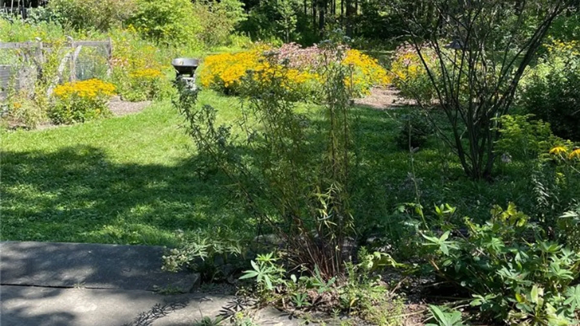 Property at 411 Warren Road, Ithaca Town, NY 14850 18