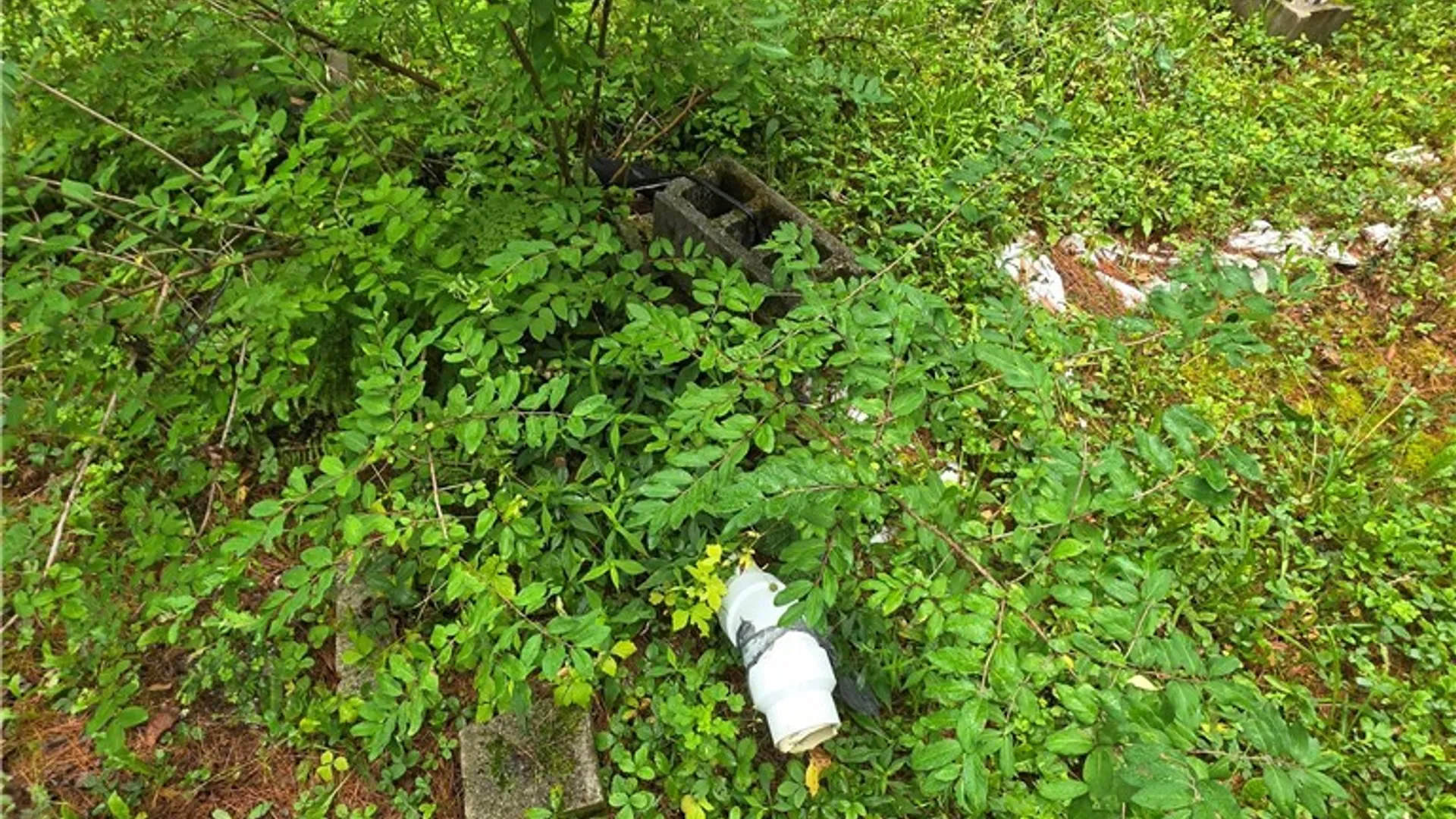 Property at 7228 Irish Settlement Road, Forestport, NY 13338 9