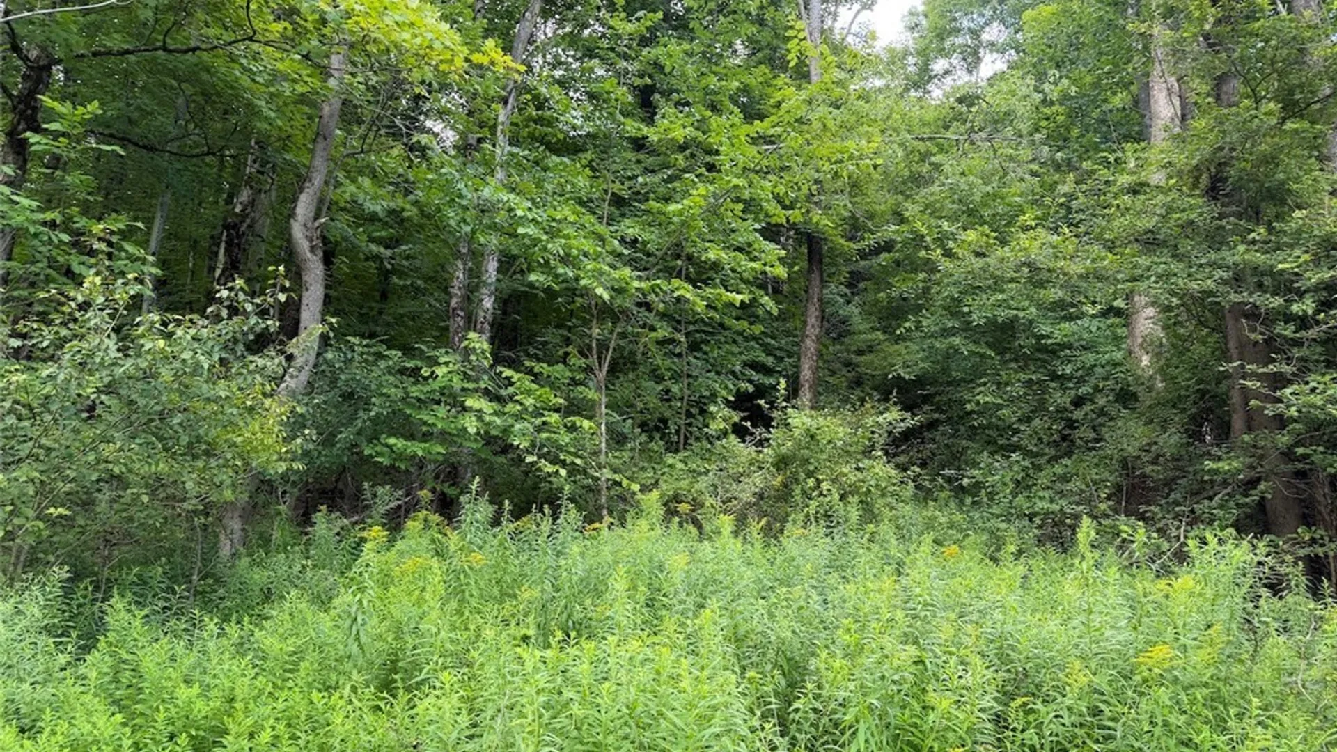Property at NY-275, Bolivar, NY 14715 7