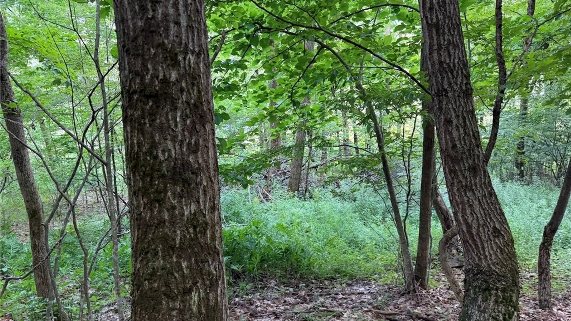 Property at NY-275, Bolivar, NY 14715 9
