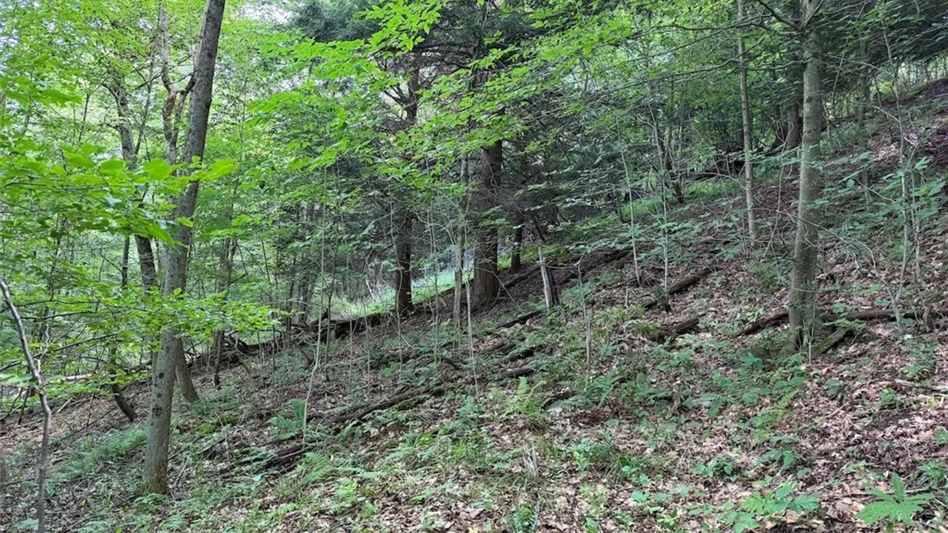 Property at NY-275, Bolivar, NY 14715 10