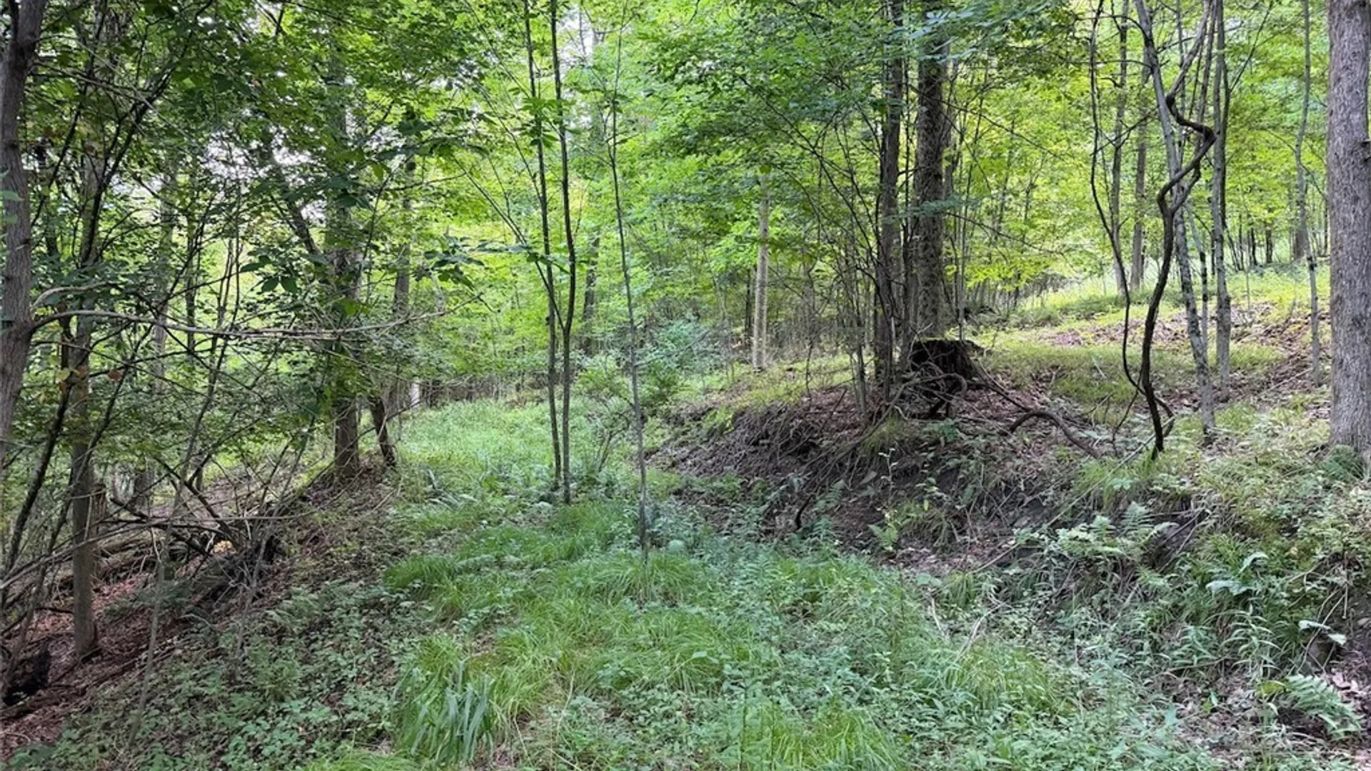 Property at NY-275, Bolivar, NY 14715 11