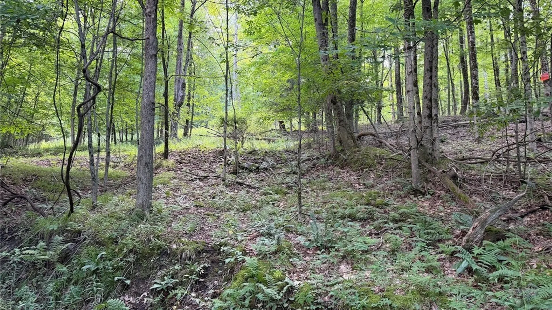 Property at NY-275, Bolivar, NY 14715 12