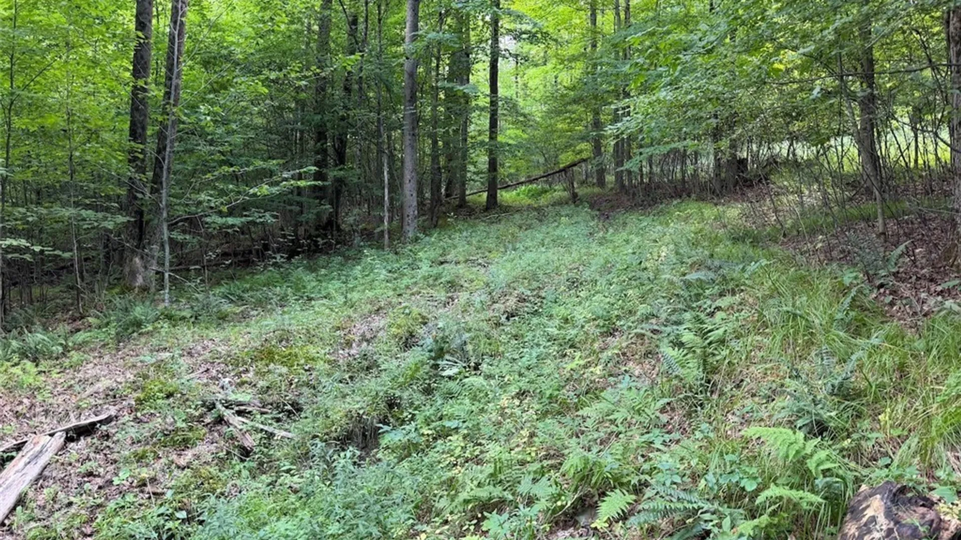 Property at NY-275, Bolivar, NY 14715 13