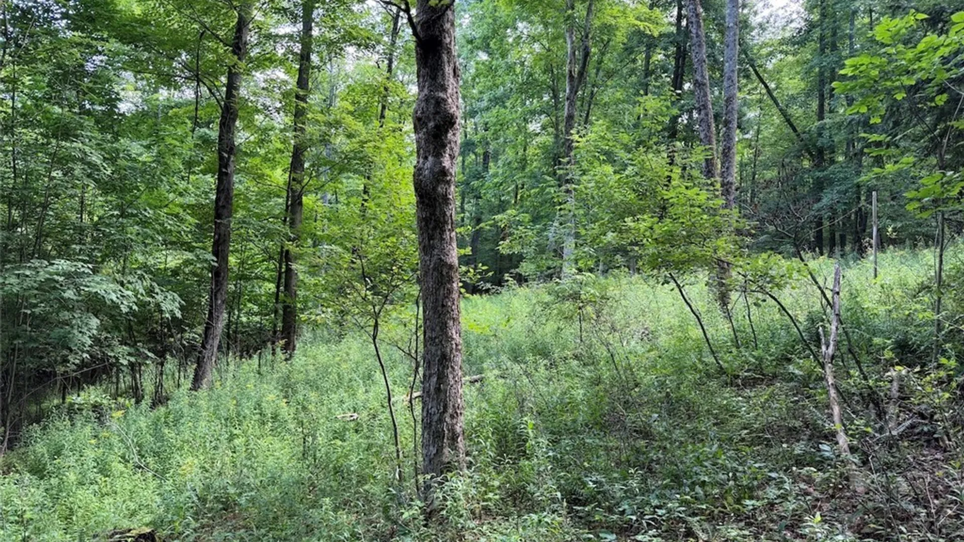 Property at NY-275, Bolivar, NY 14715 14