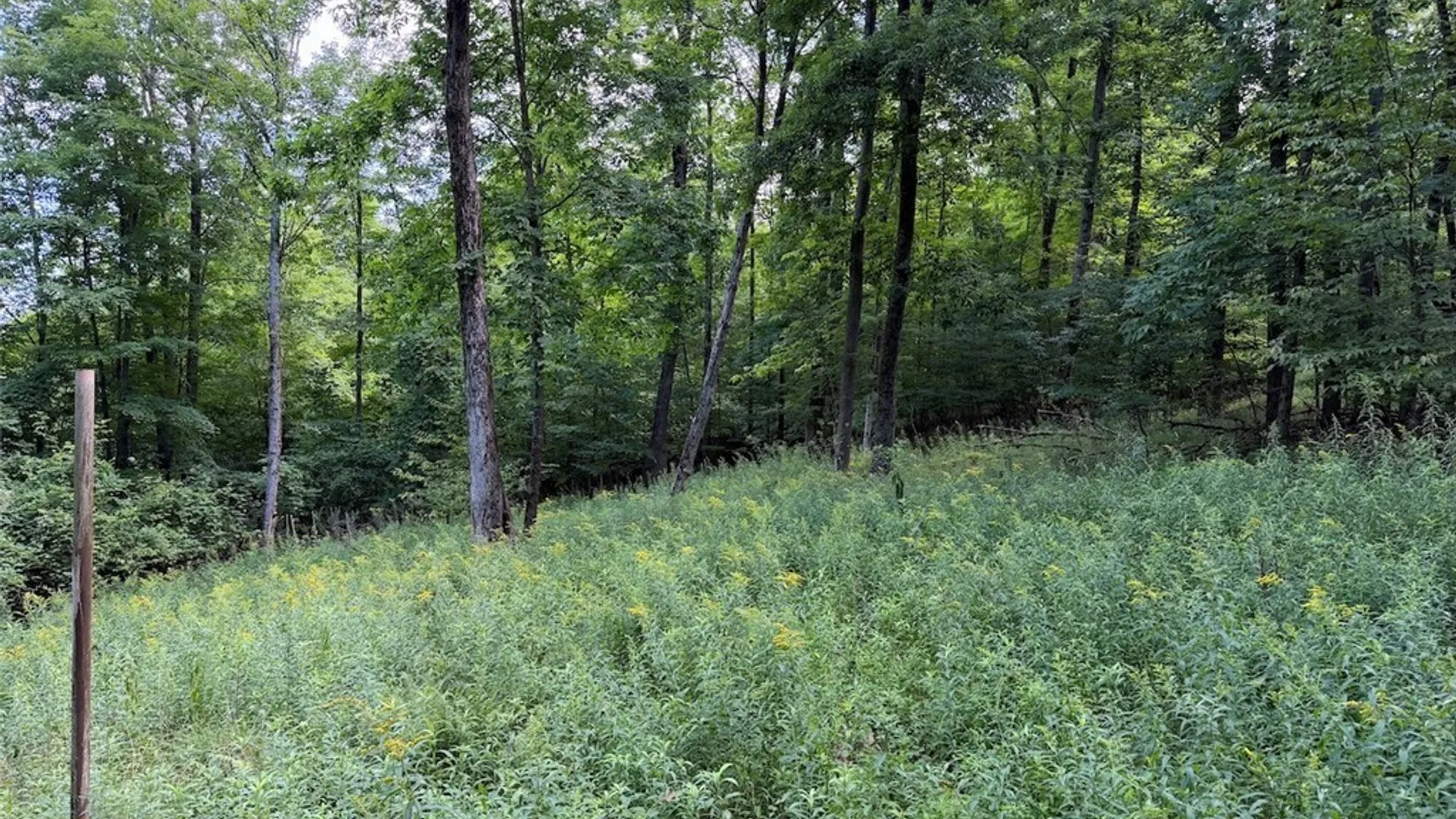 Property at NY-275, Bolivar, NY 14715 15