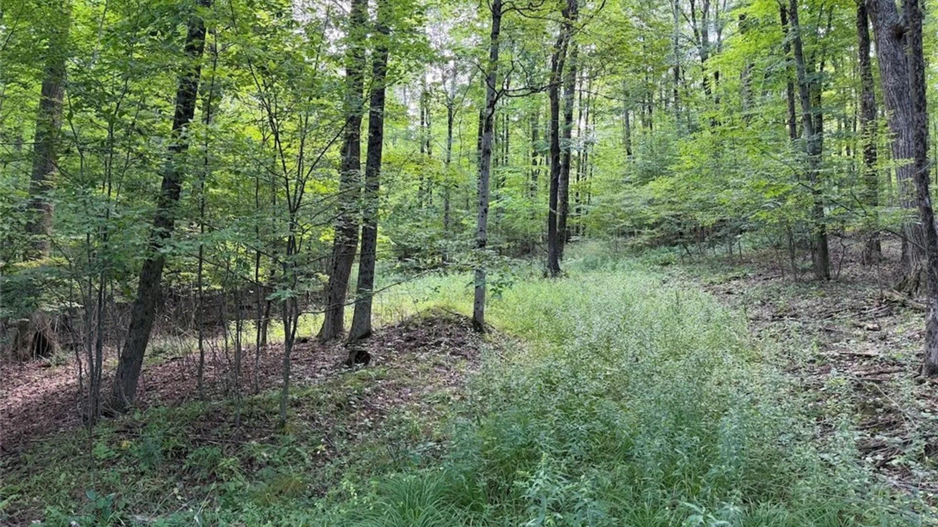 Property at NY-275, Bolivar, NY 14715 16
