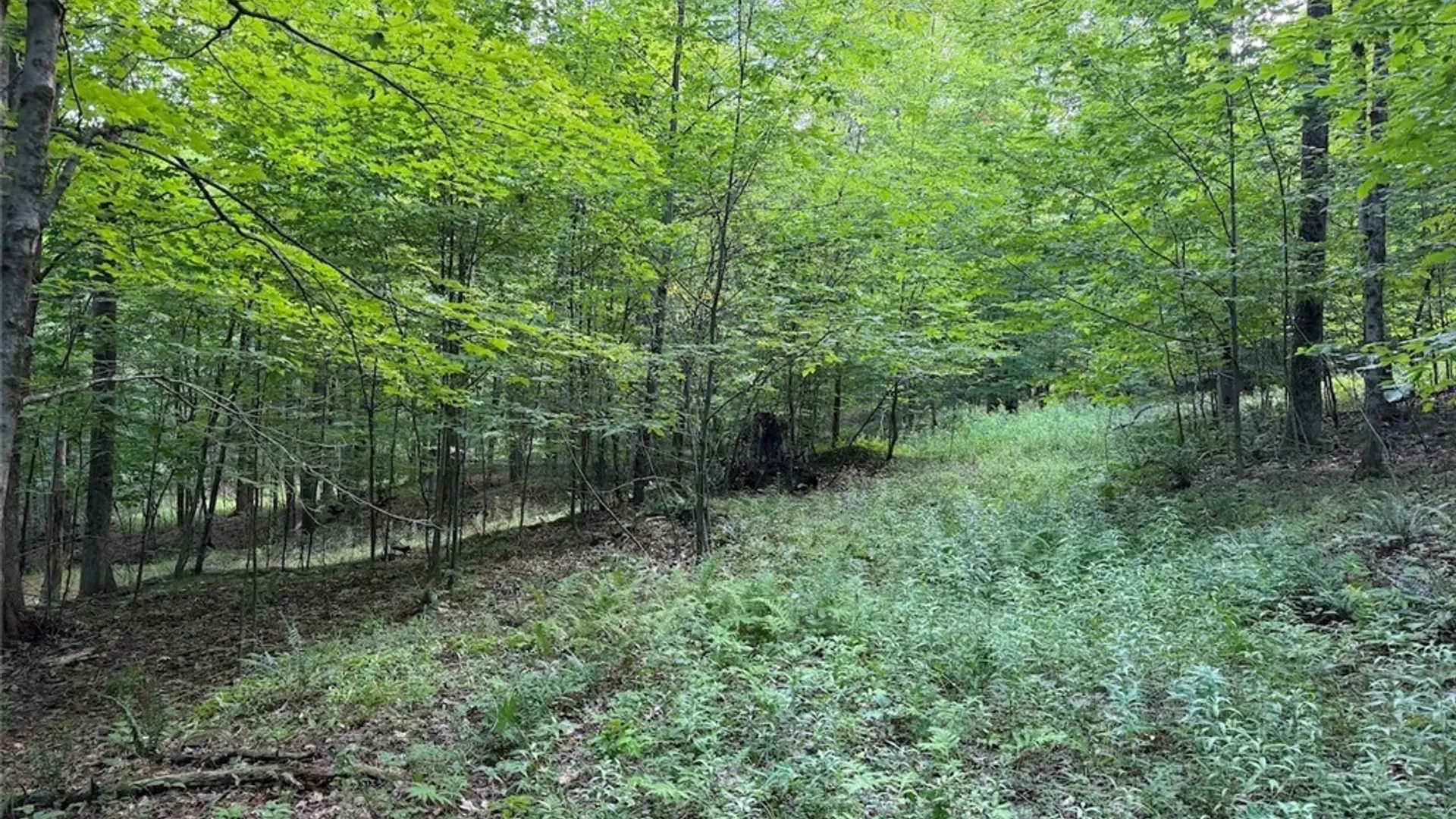 Property at NY-275, Bolivar, NY 14715 17