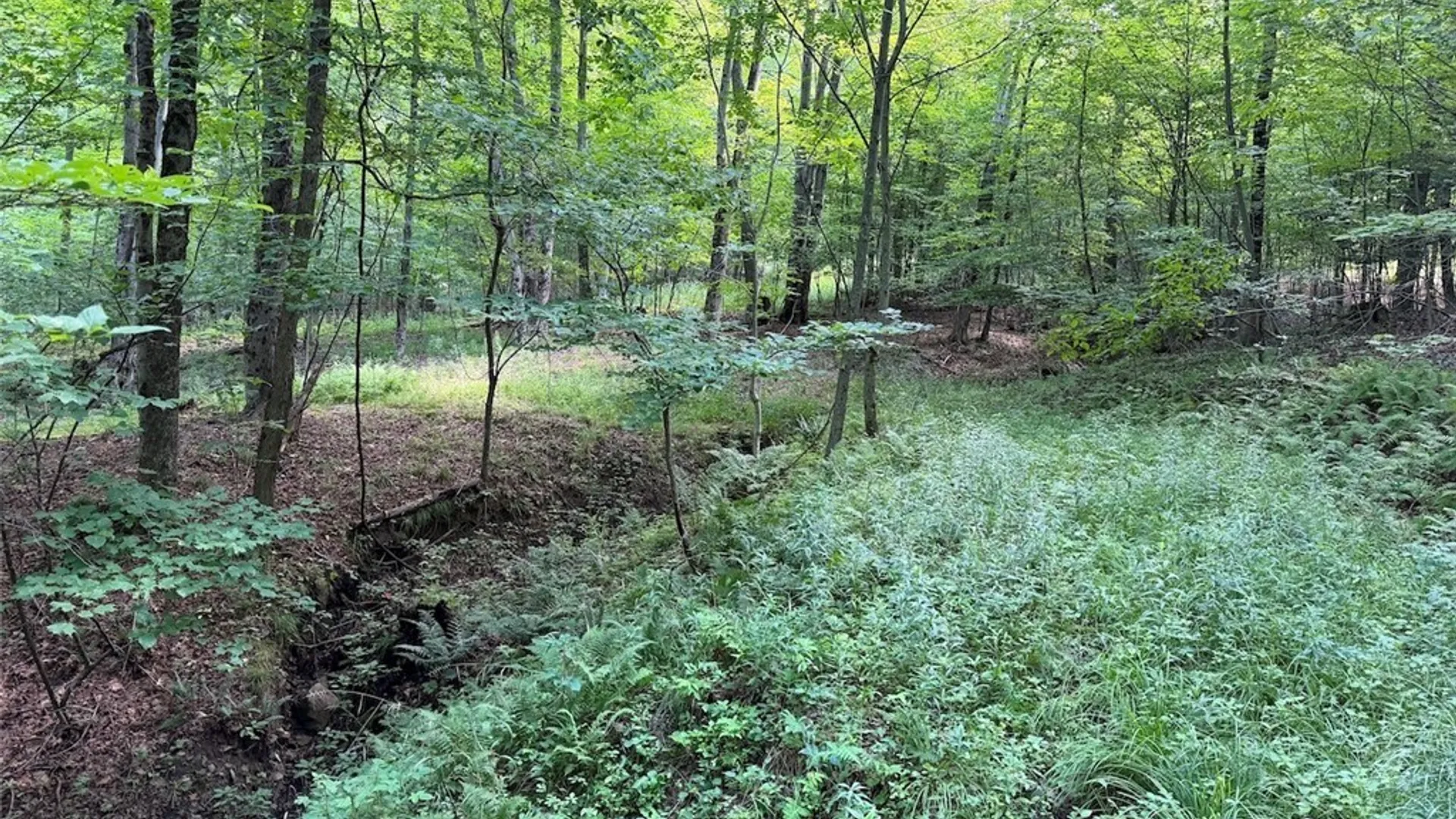 Property at NY-275, Bolivar, NY 14715 18