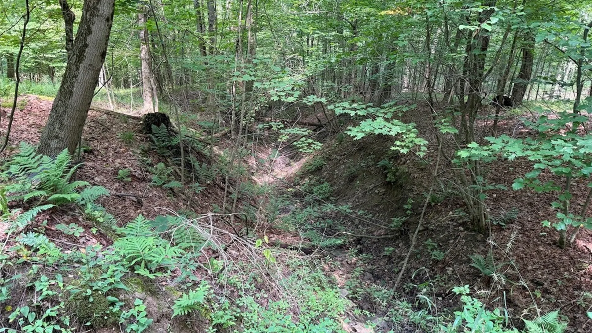 Property at NY-275, Bolivar, NY 14715 19