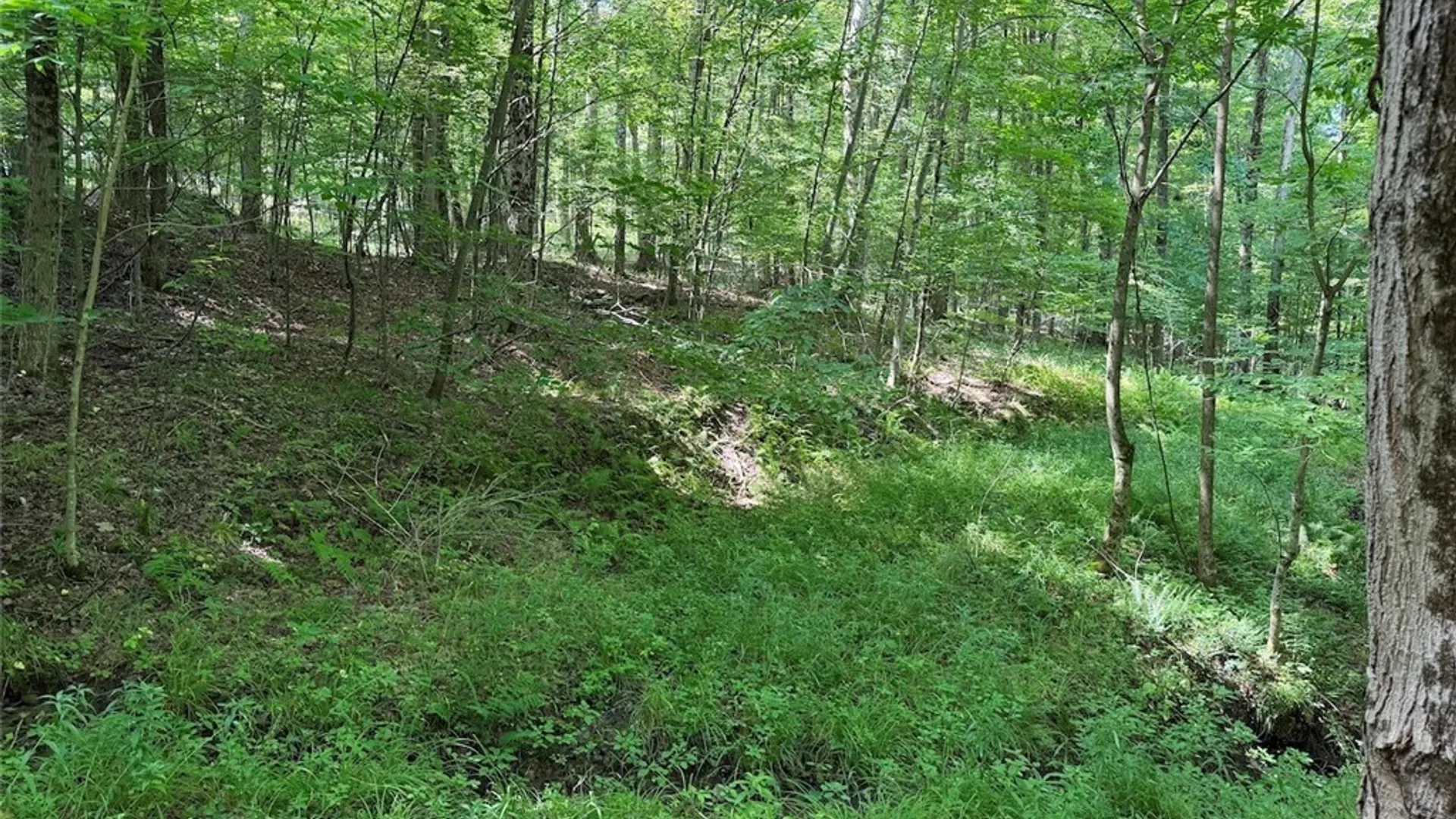 Property at NY-275, Bolivar, NY 14715 20