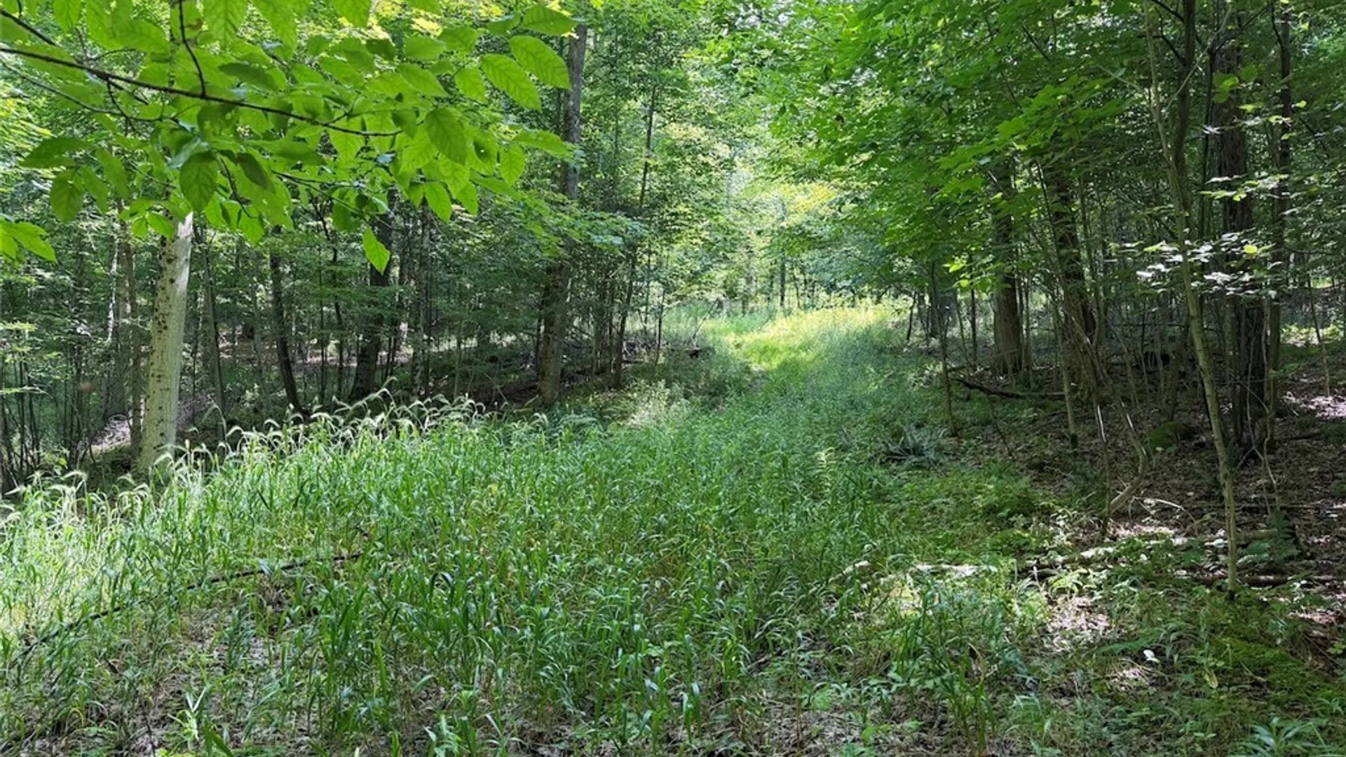 Property at NY-275, Bolivar, NY 14715 21