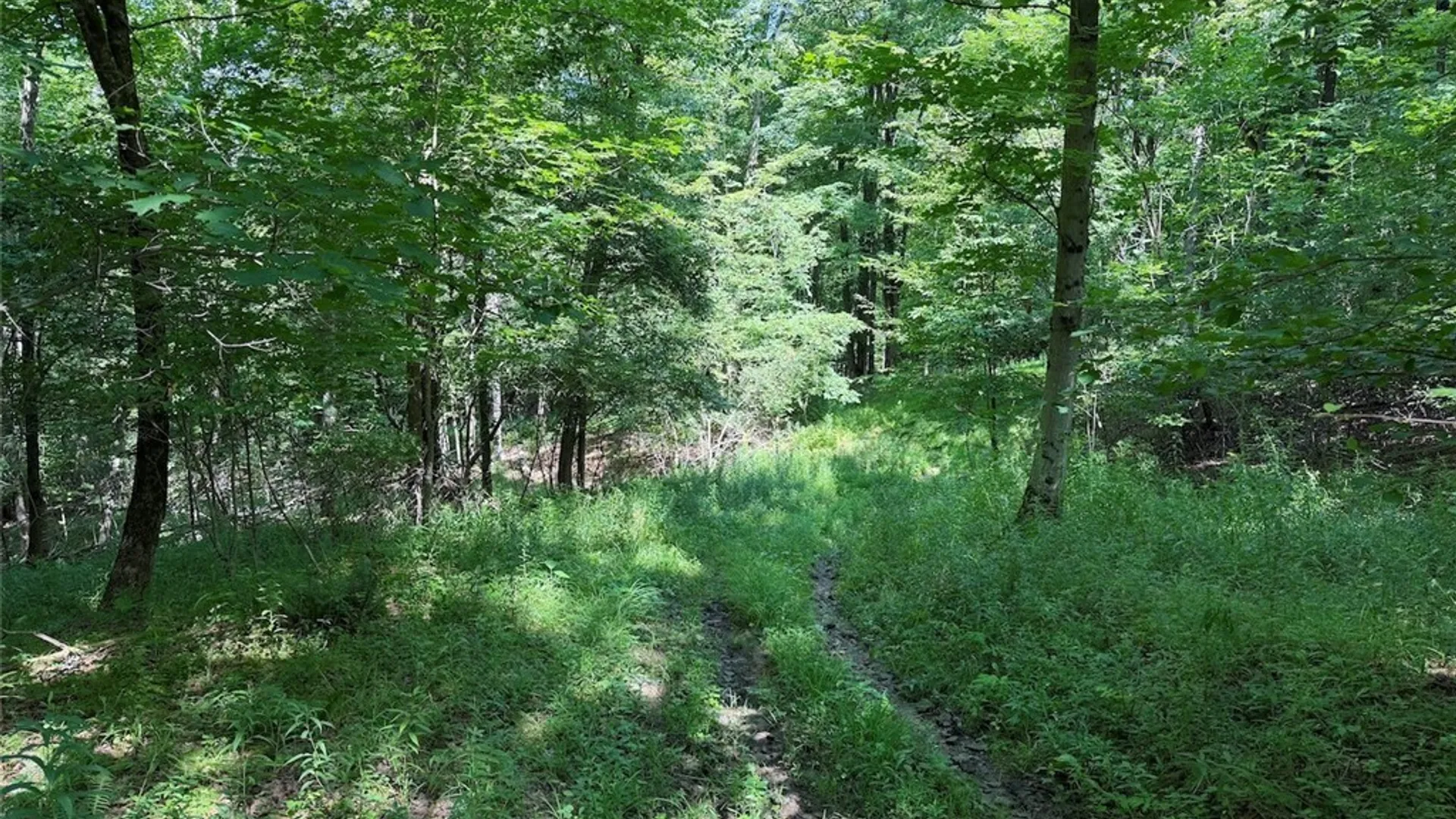 Property at NY-275, Bolivar, NY 14715 22
