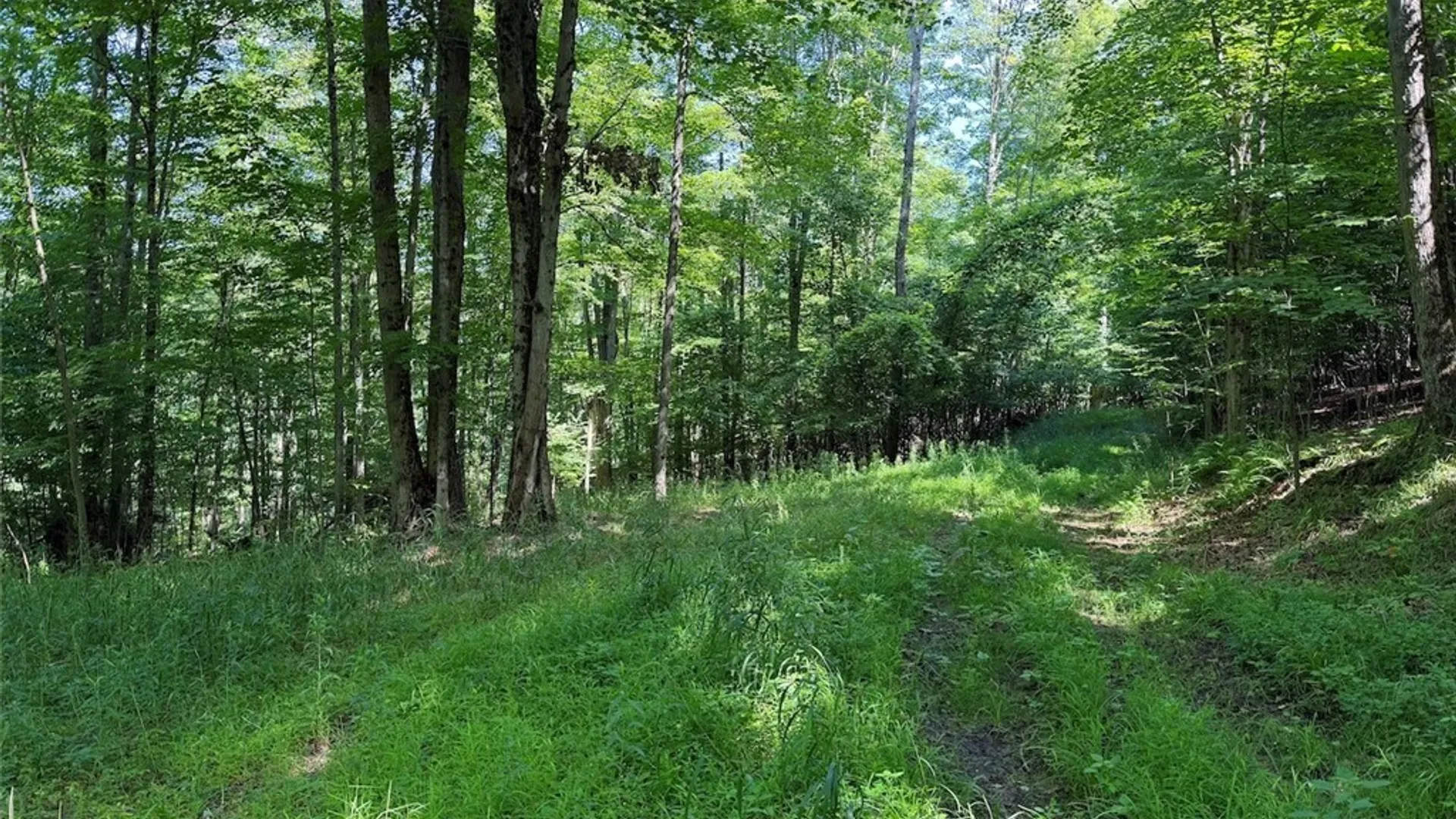 Property at NY-275, Bolivar, NY 14715 23
