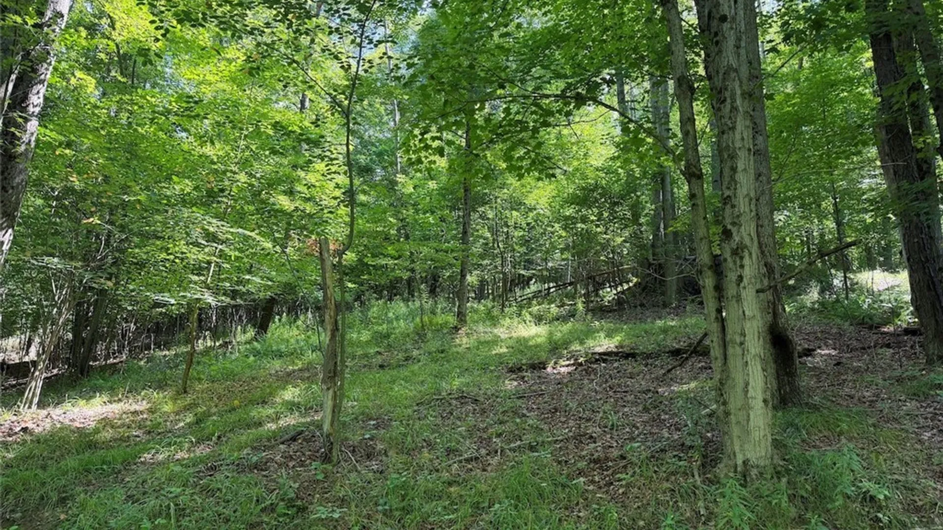 Property at NY-275, Bolivar, NY 14715 24
