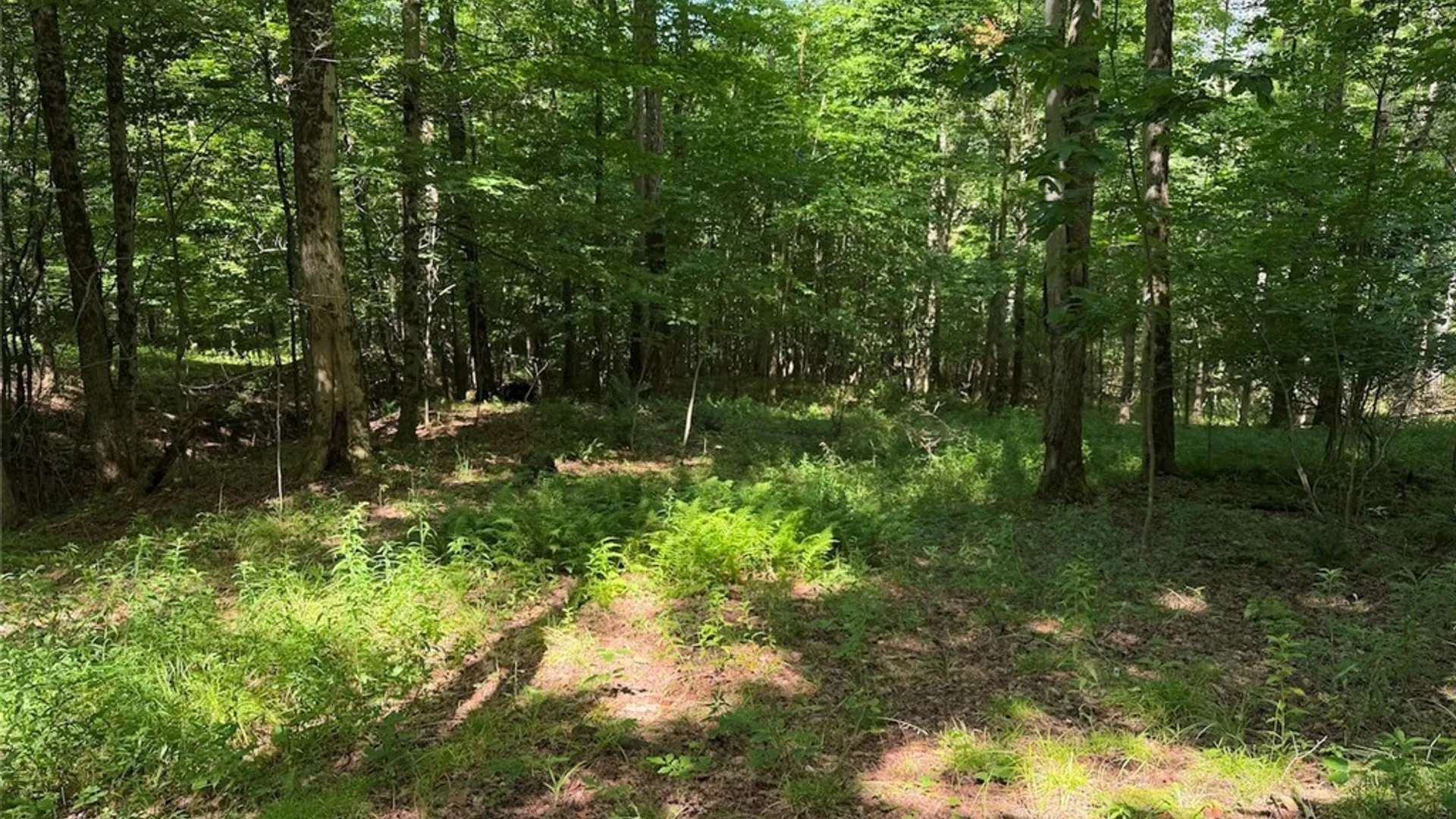 Property at NY-275, Bolivar, NY 14715 5