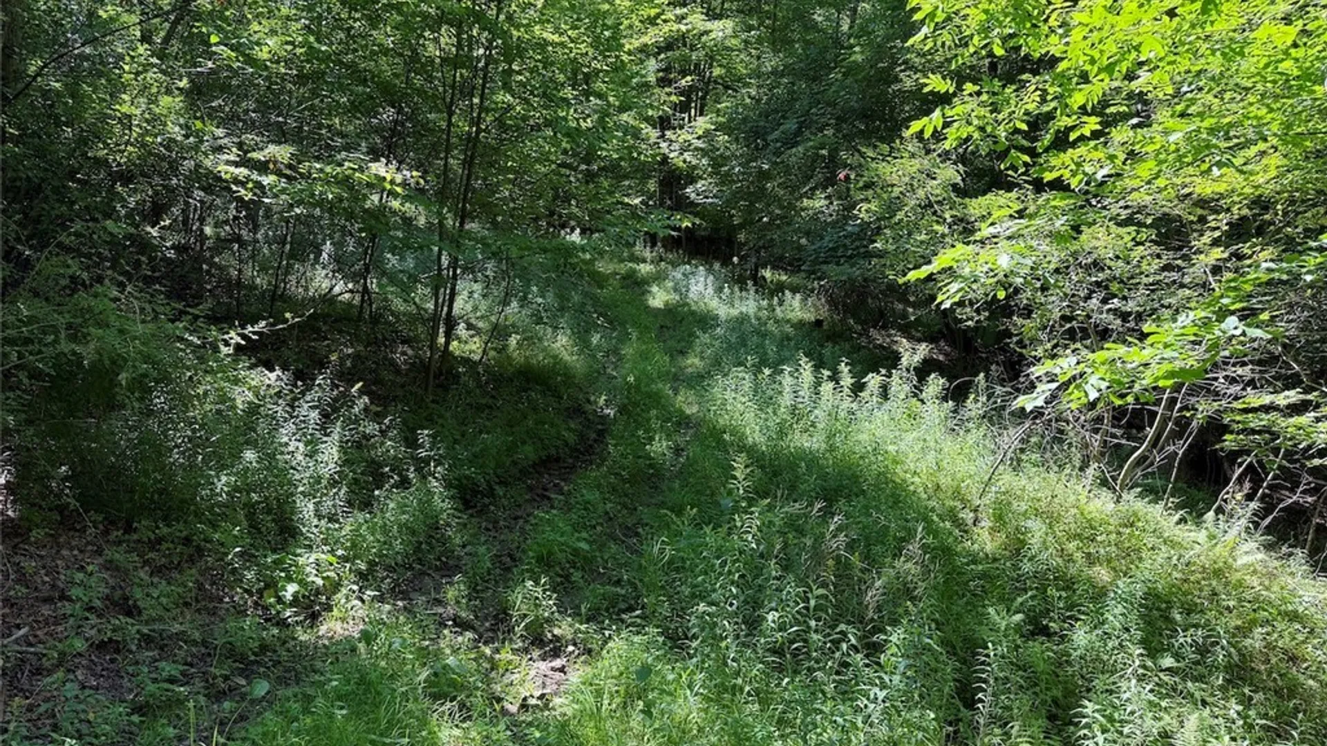 Property at NY-275, Bolivar, NY 14715 25