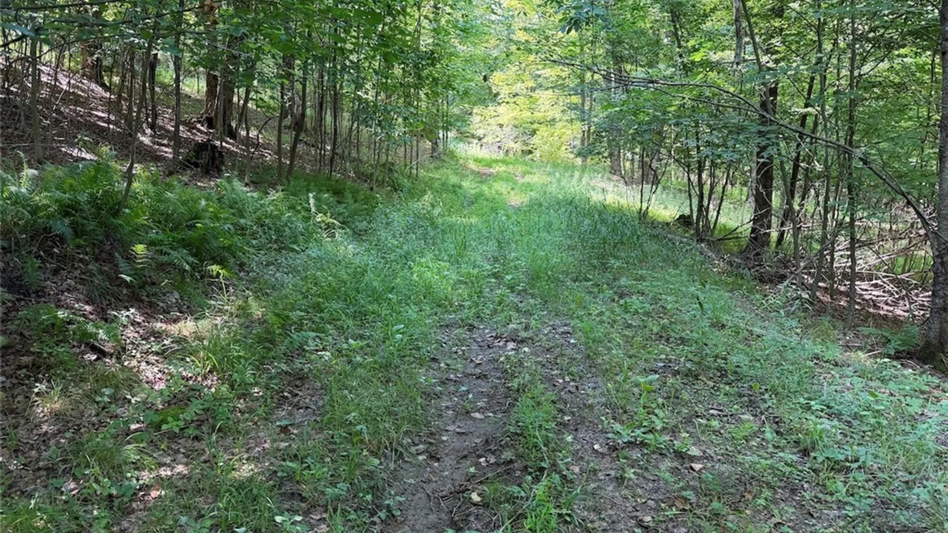 Property at NY-275, Bolivar, NY 14715 26
