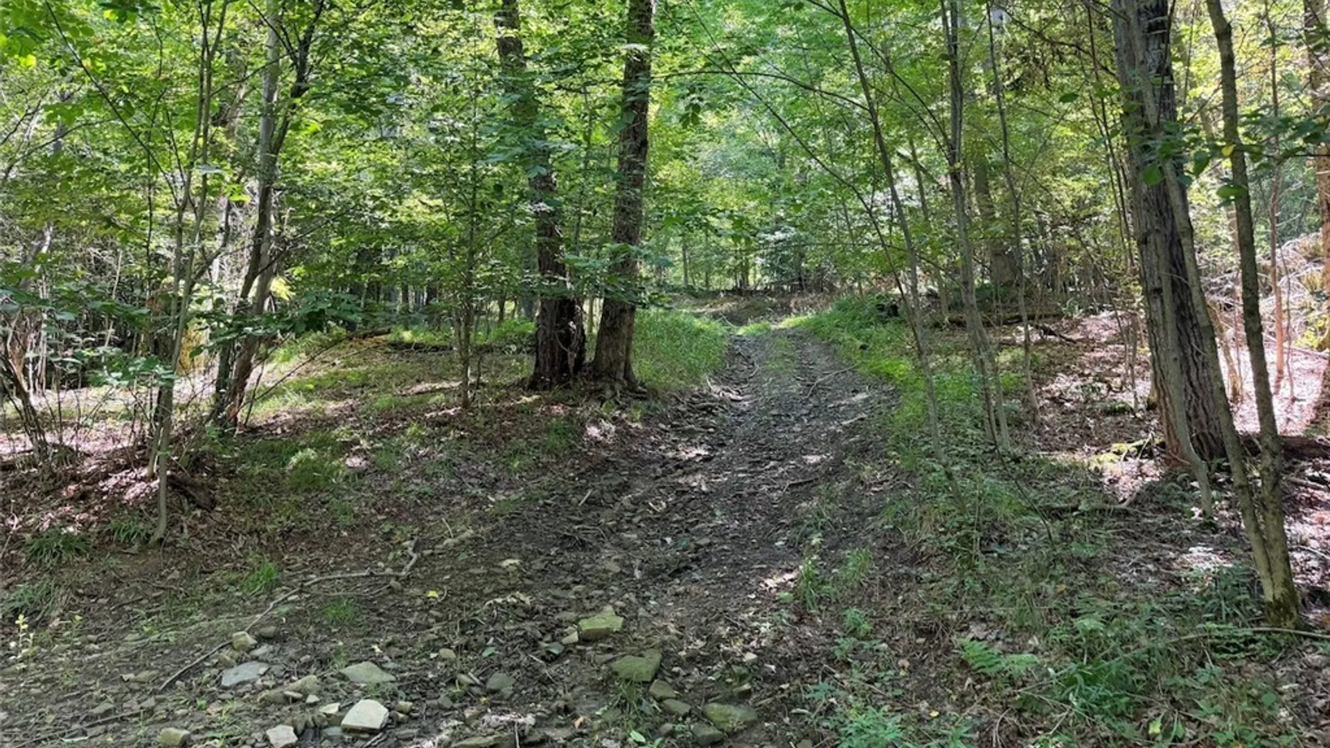 Property at NY-275, Bolivar, NY 14715 27