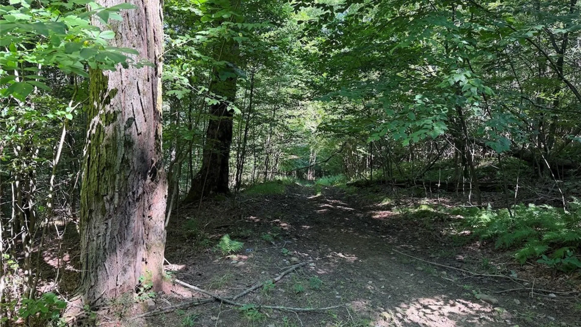 Property at NY-275, Bolivar, NY 14715 28