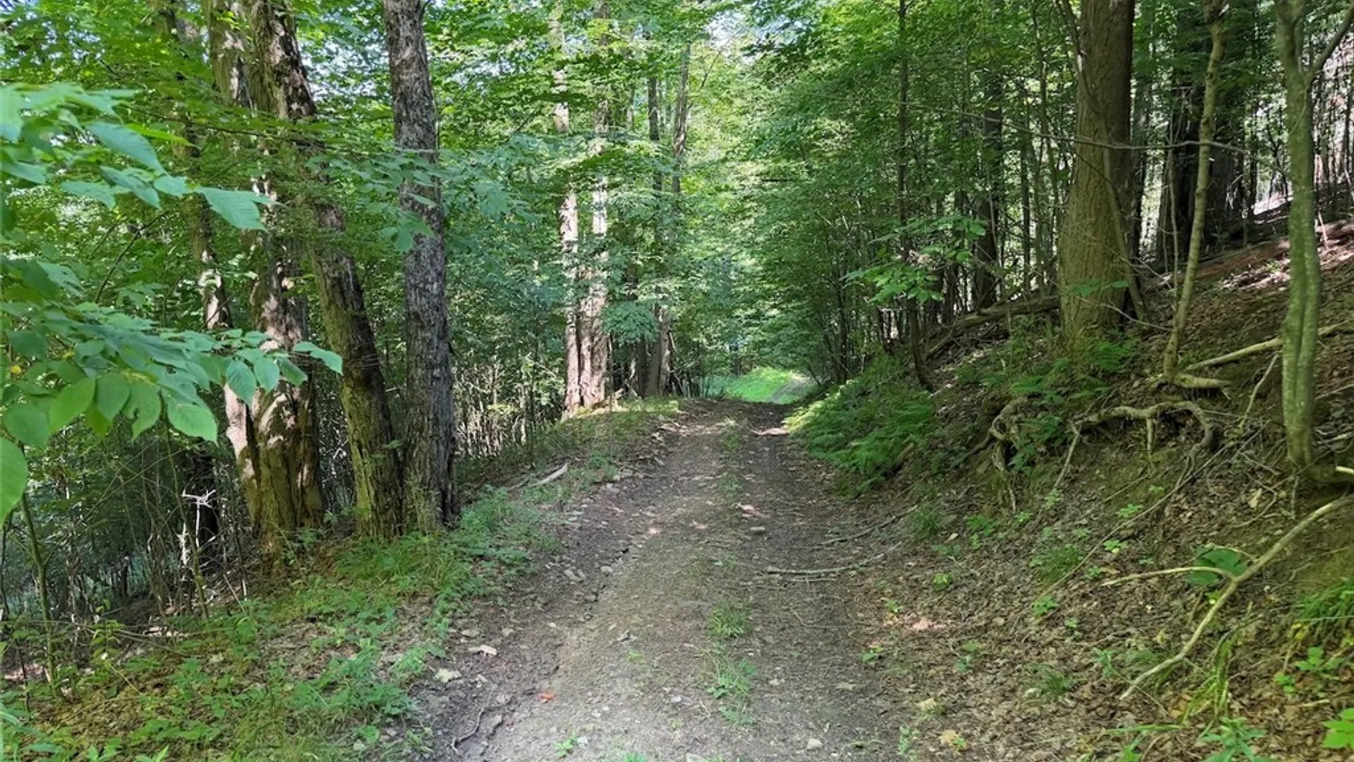 Property at NY-275, Bolivar, NY 14715 29