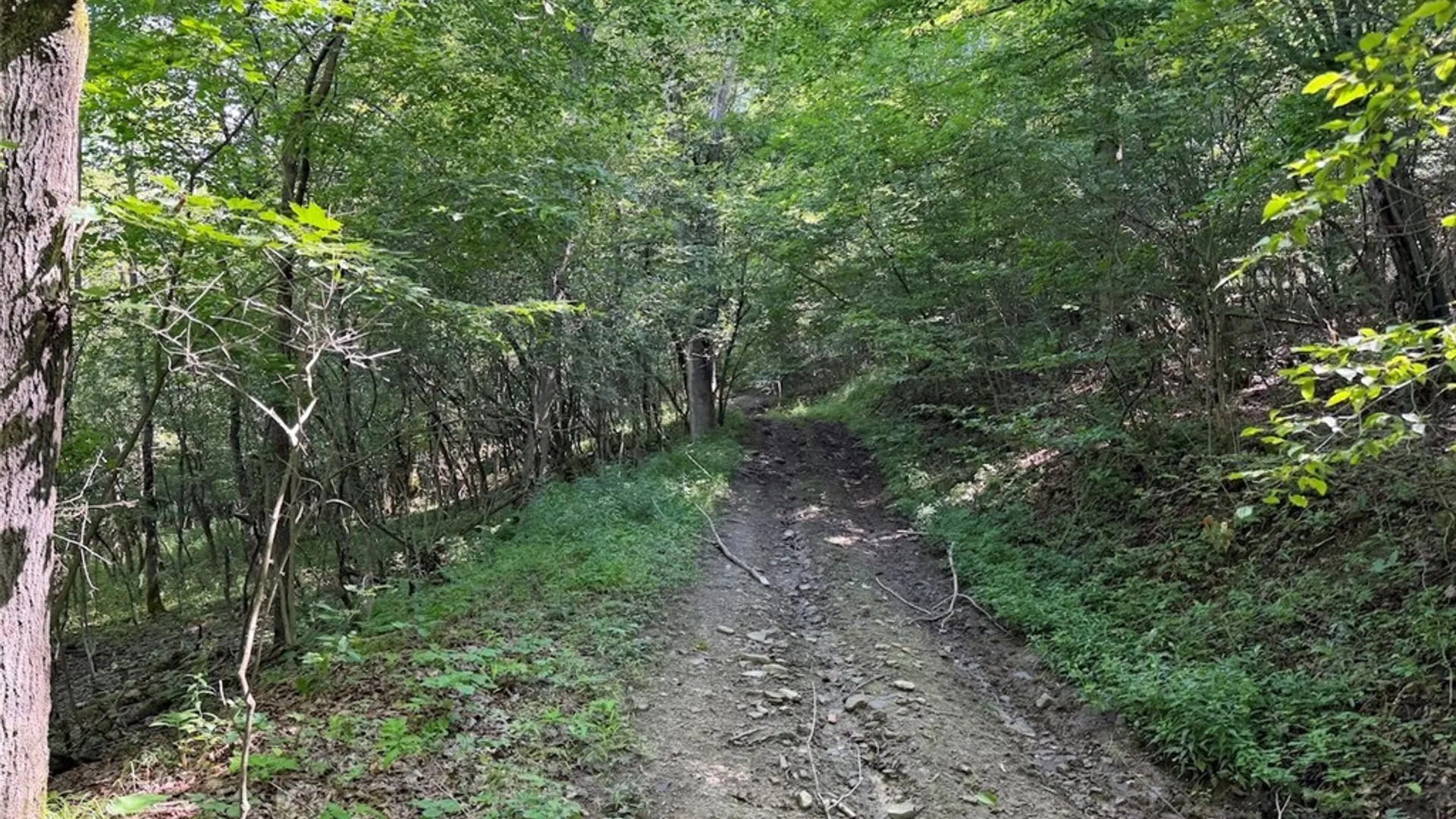 Property at NY-275, Bolivar, NY 14715 30