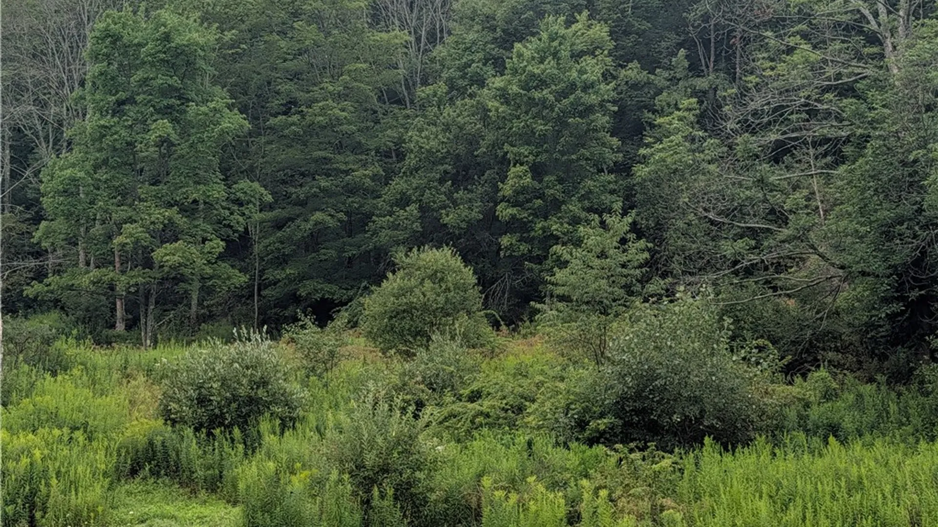 Property at 12 Long Lane, Foster Town, PA 16701 27