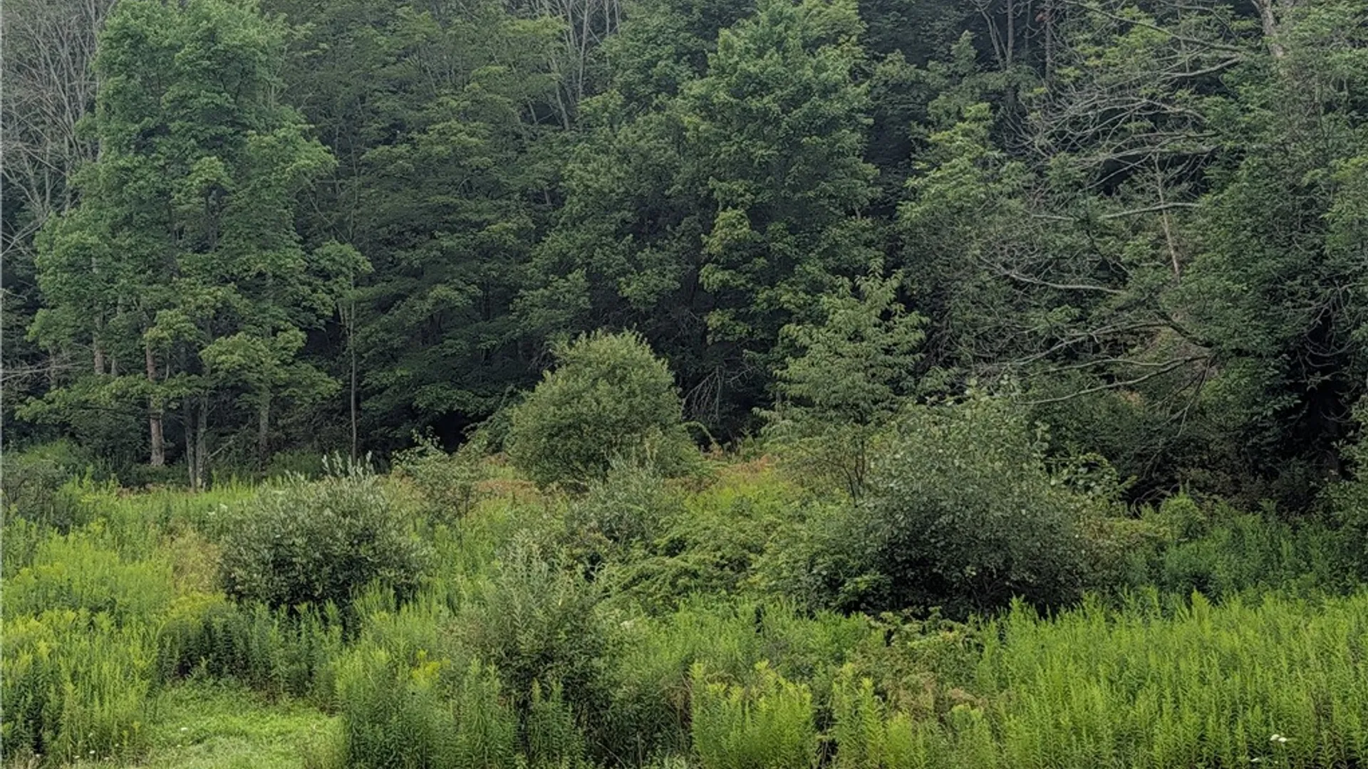 Property at 12 Long Lane, Foster Town, PA 16701 28