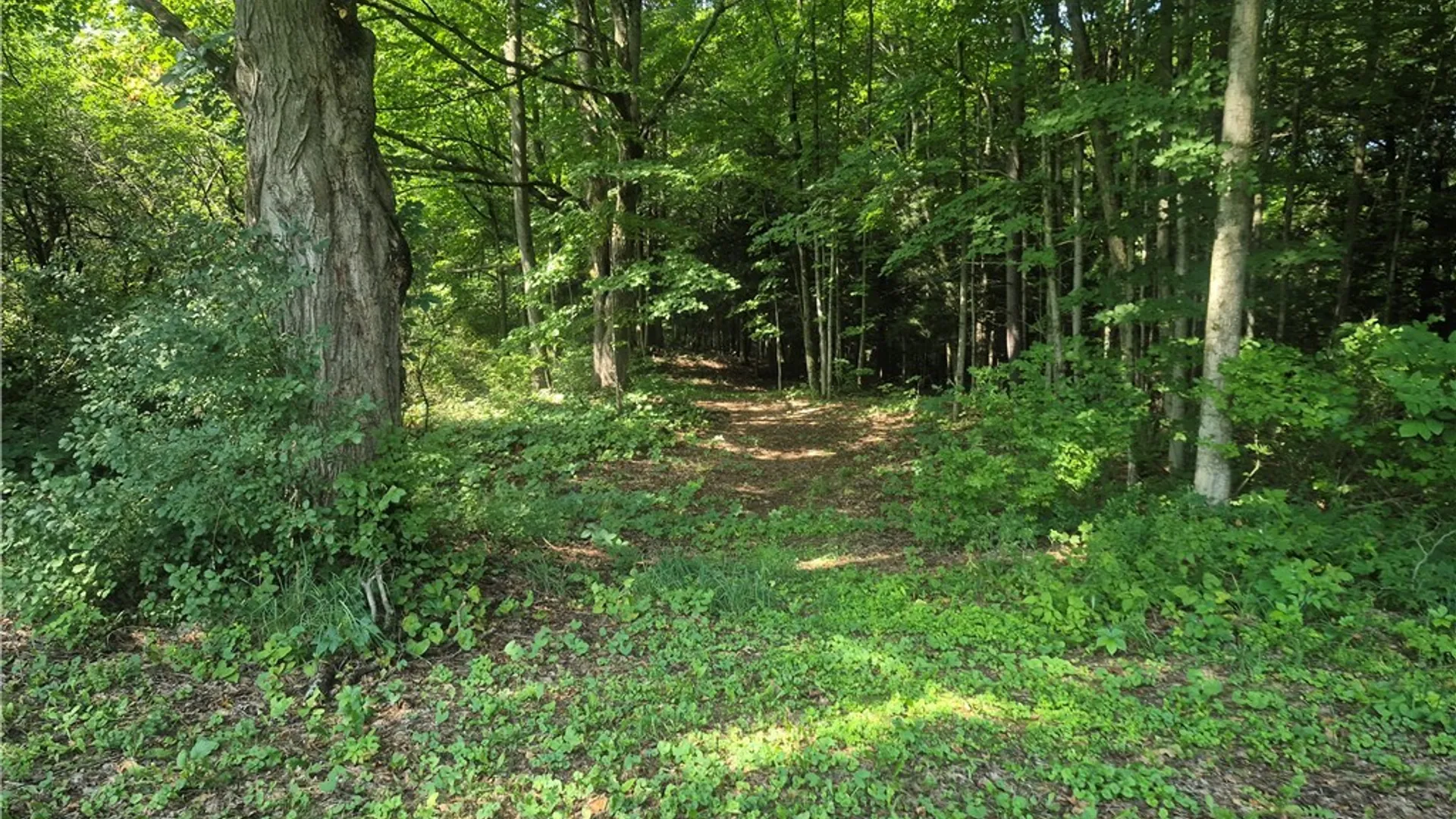 Property at 31875 County Route 179, Clayton, NY 13622 47