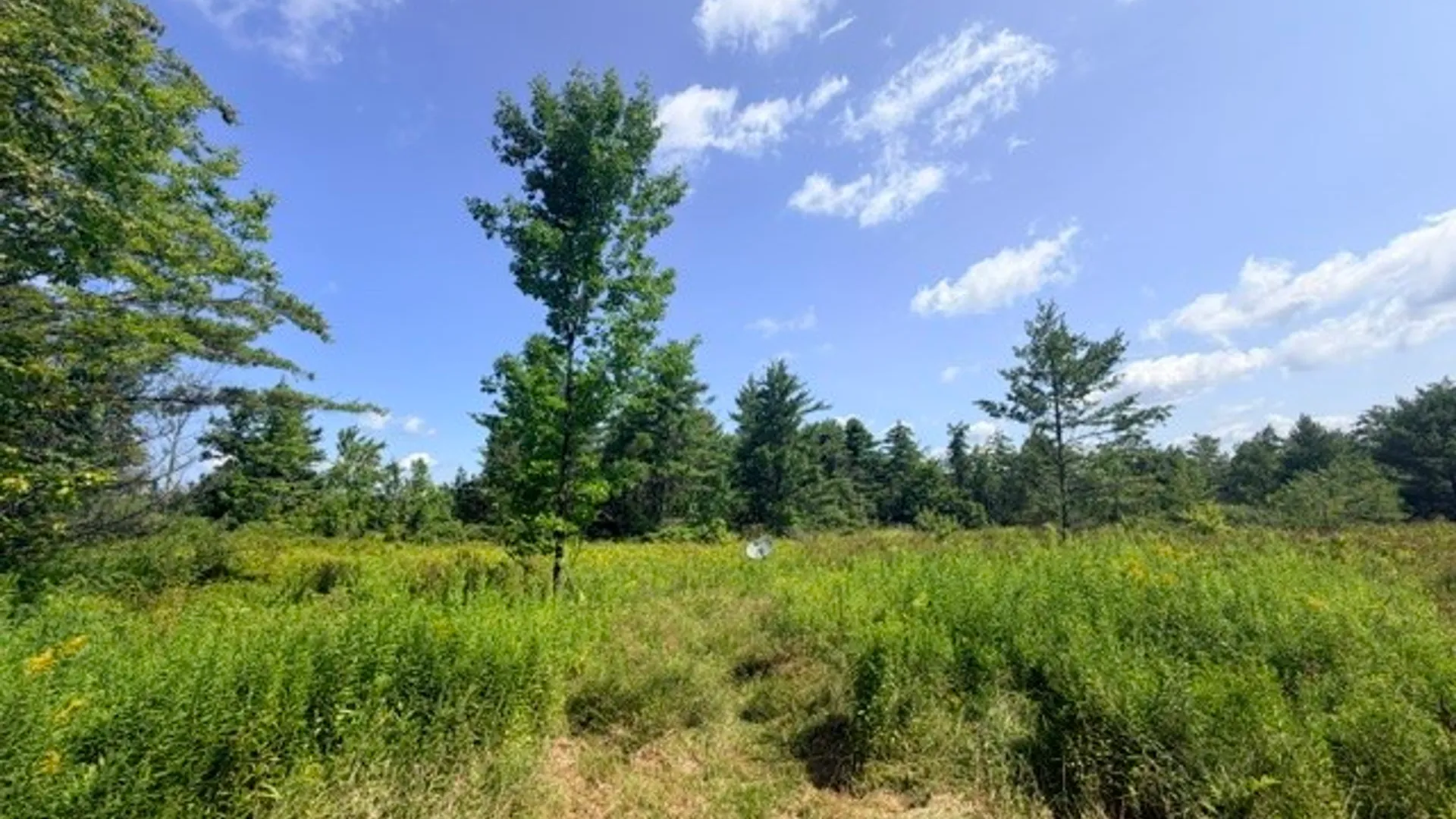 Property at 145 James Joyce Lane, Gilboa, NY 12167 37