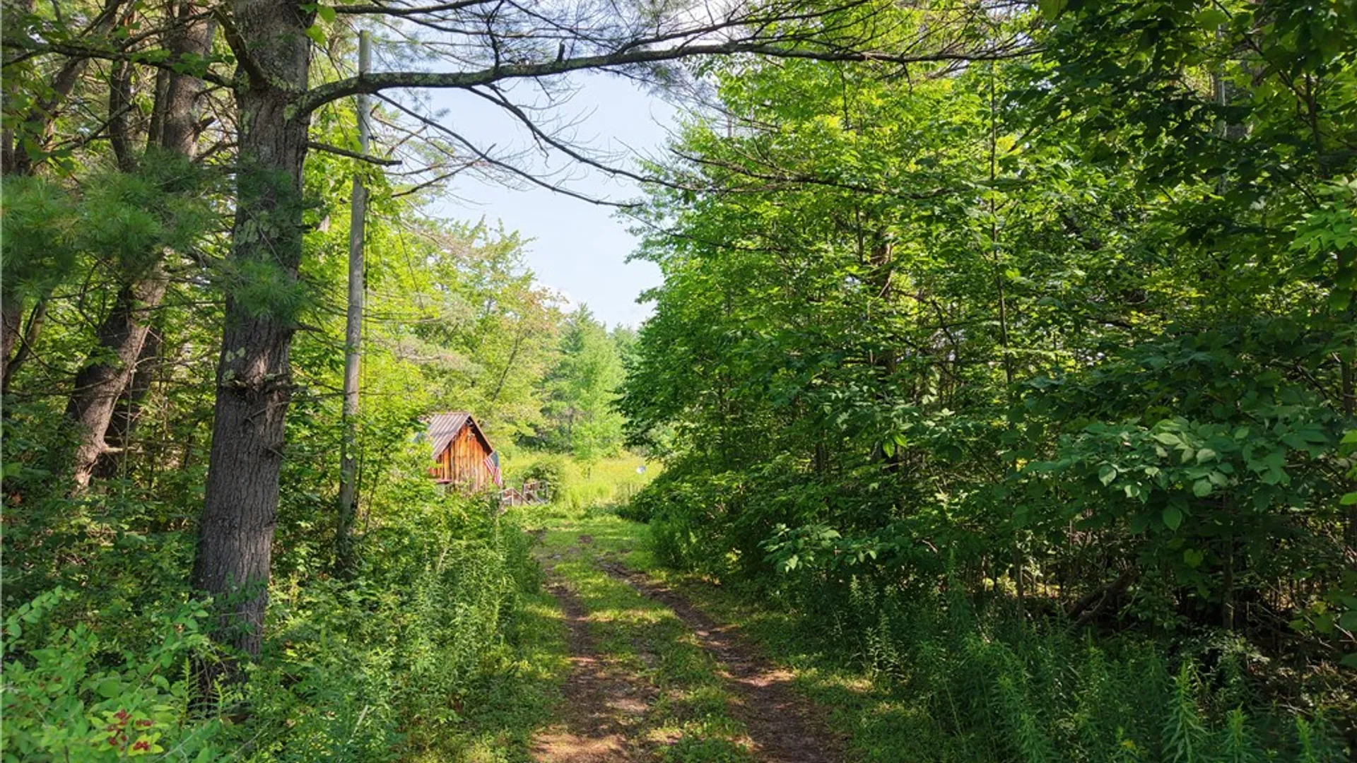 Property at 145 James Joyce Lane, Gilboa, NY 12167 38