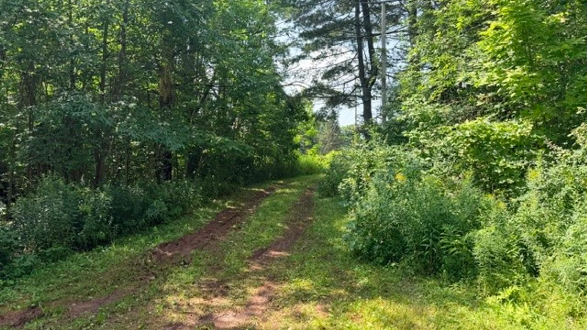 Property at 145 James Joyce Lane, Gilboa, NY 12167 39