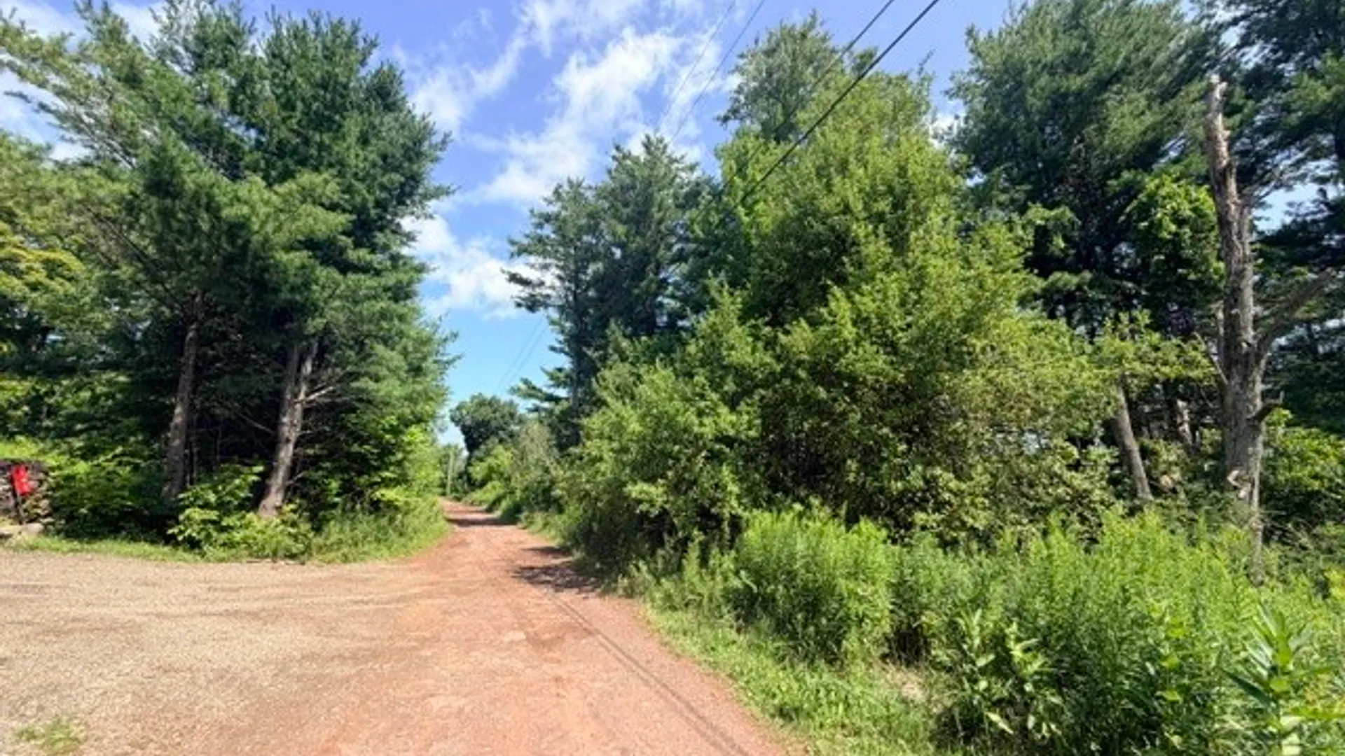 Property at 145 James Joyce Lane, Gilboa, NY 12167 40