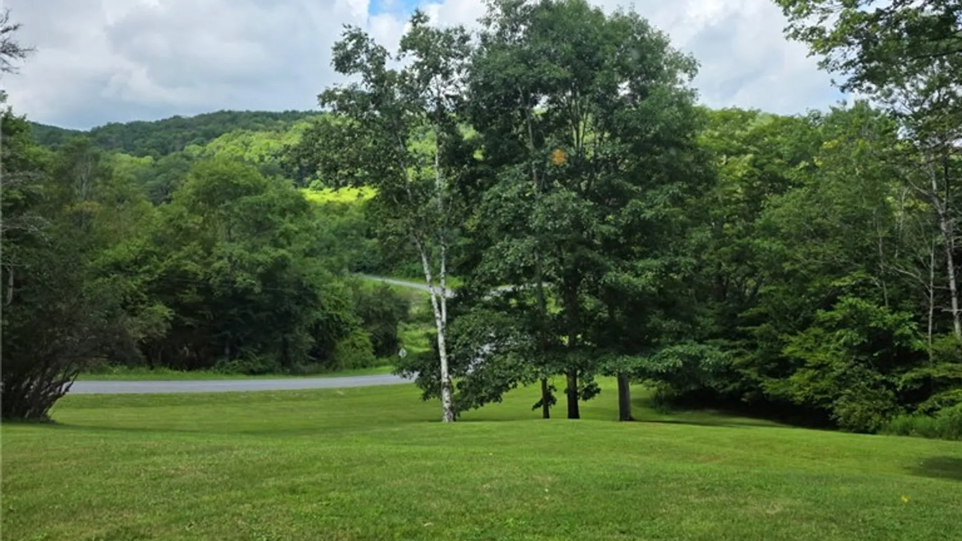 Property at 187 Franskevicz Road, Hancock, NY 13783 11