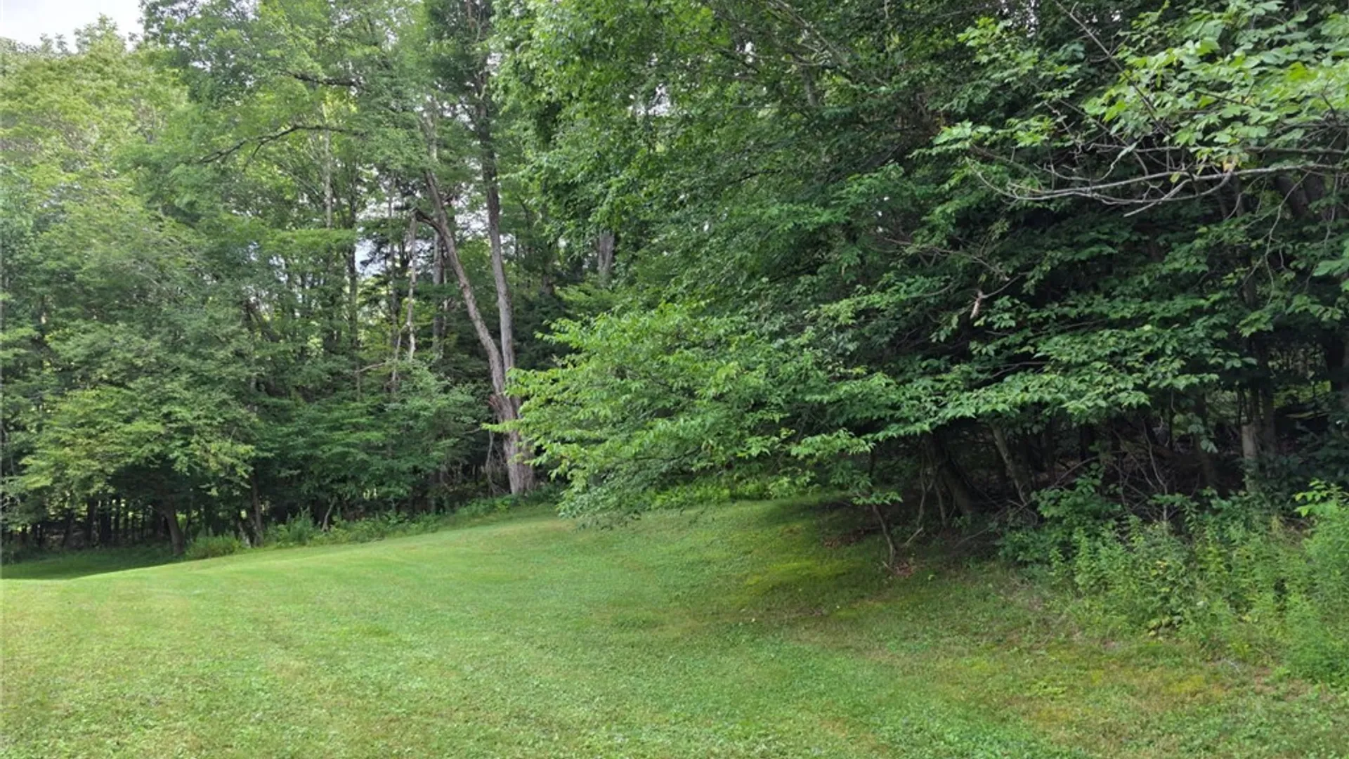 Property at 187 Franskevicz Road, Hancock, NY 13783 13