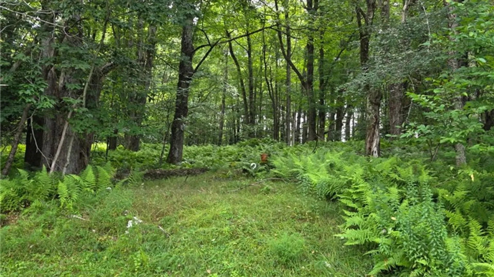 Property at 187 Franskevicz Road, Hancock, NY 13783 15