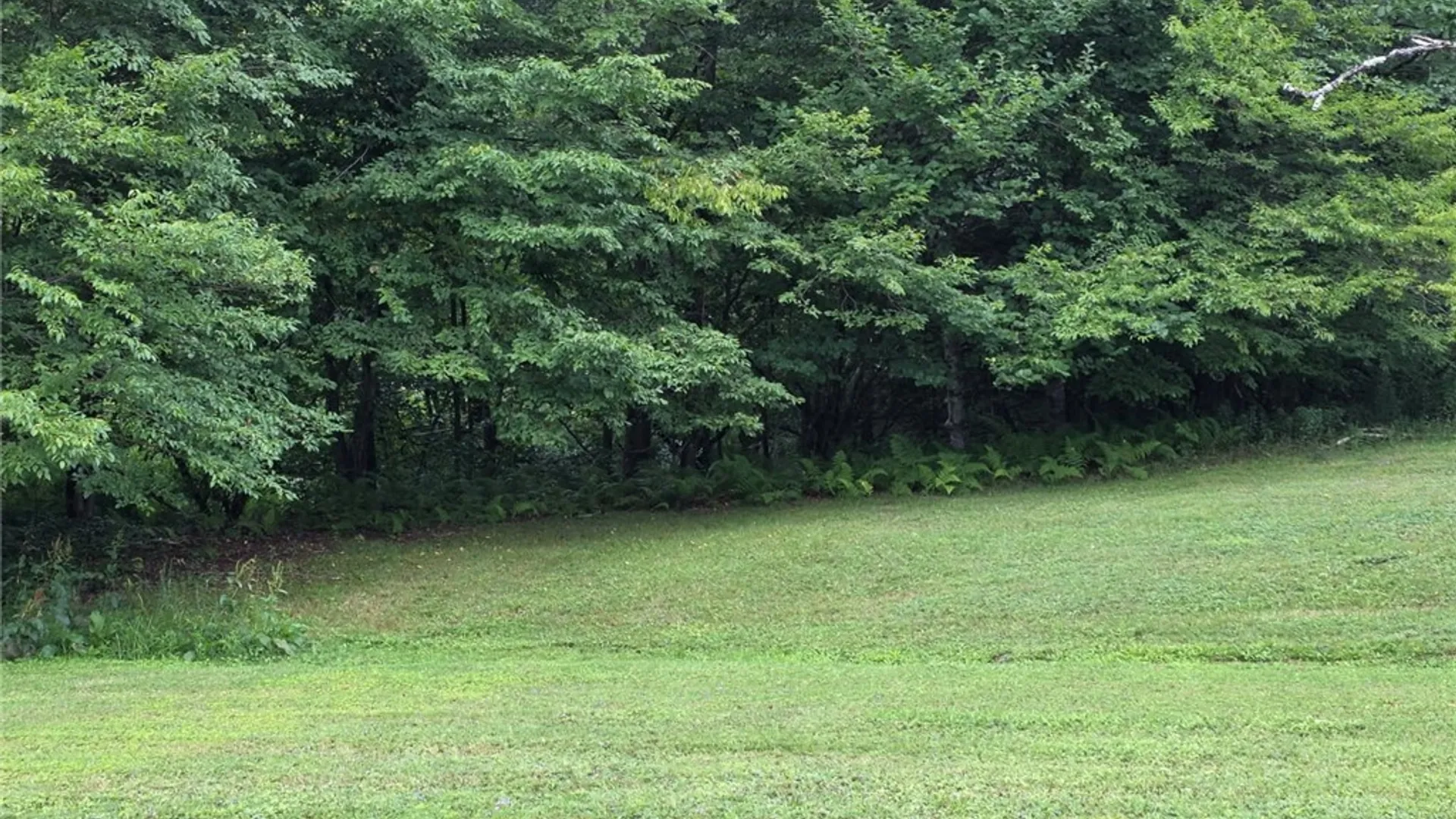 Property at 187 Franskevicz Road, Hancock, NY 13783 17