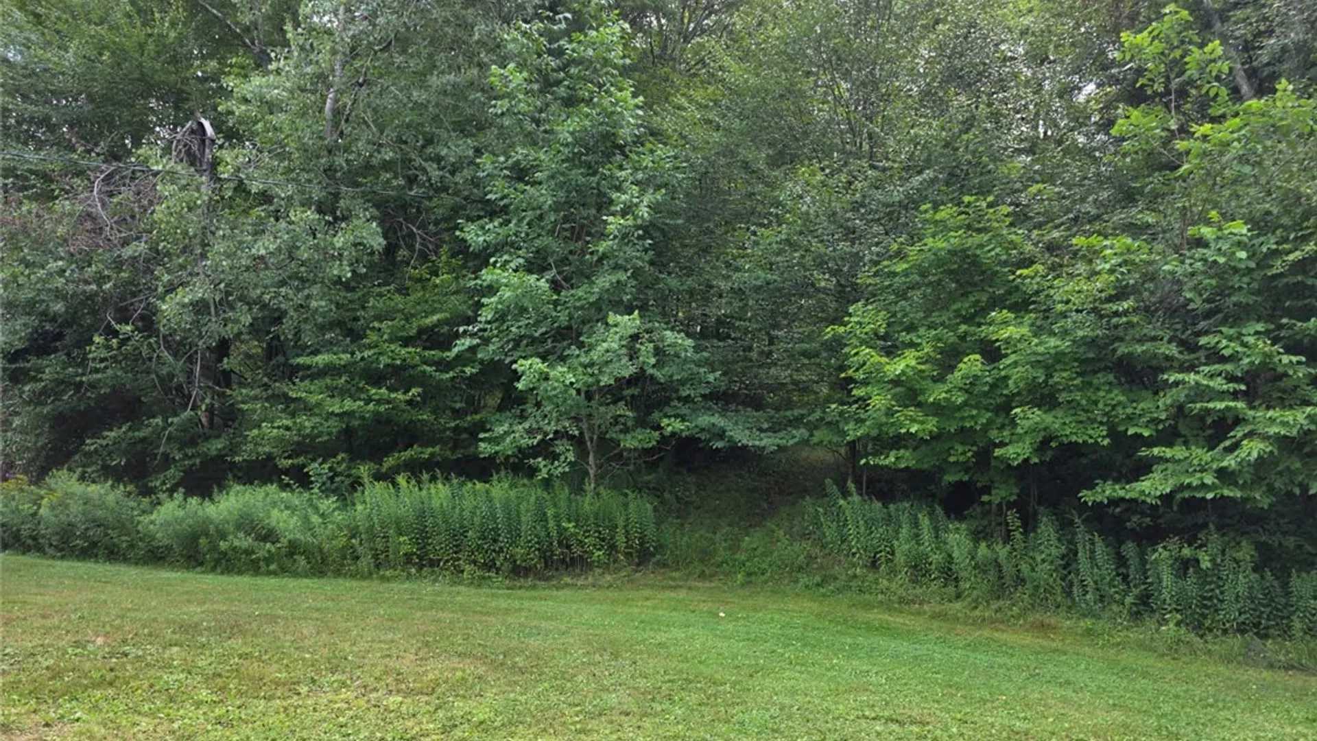 Property at 187 Franskevicz Road, Hancock, NY 13783 18