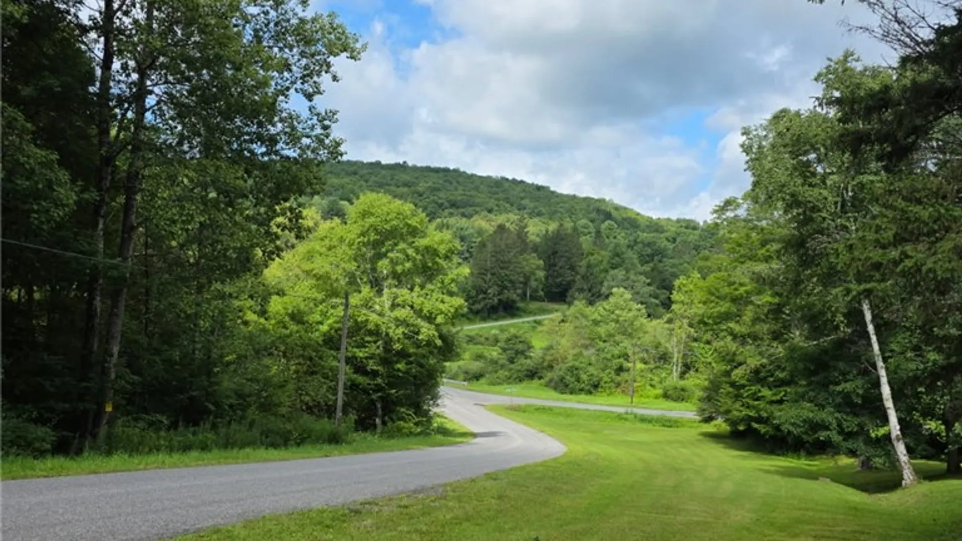 Property at 187 Franskevicz Road, Hancock, NY 13783 4