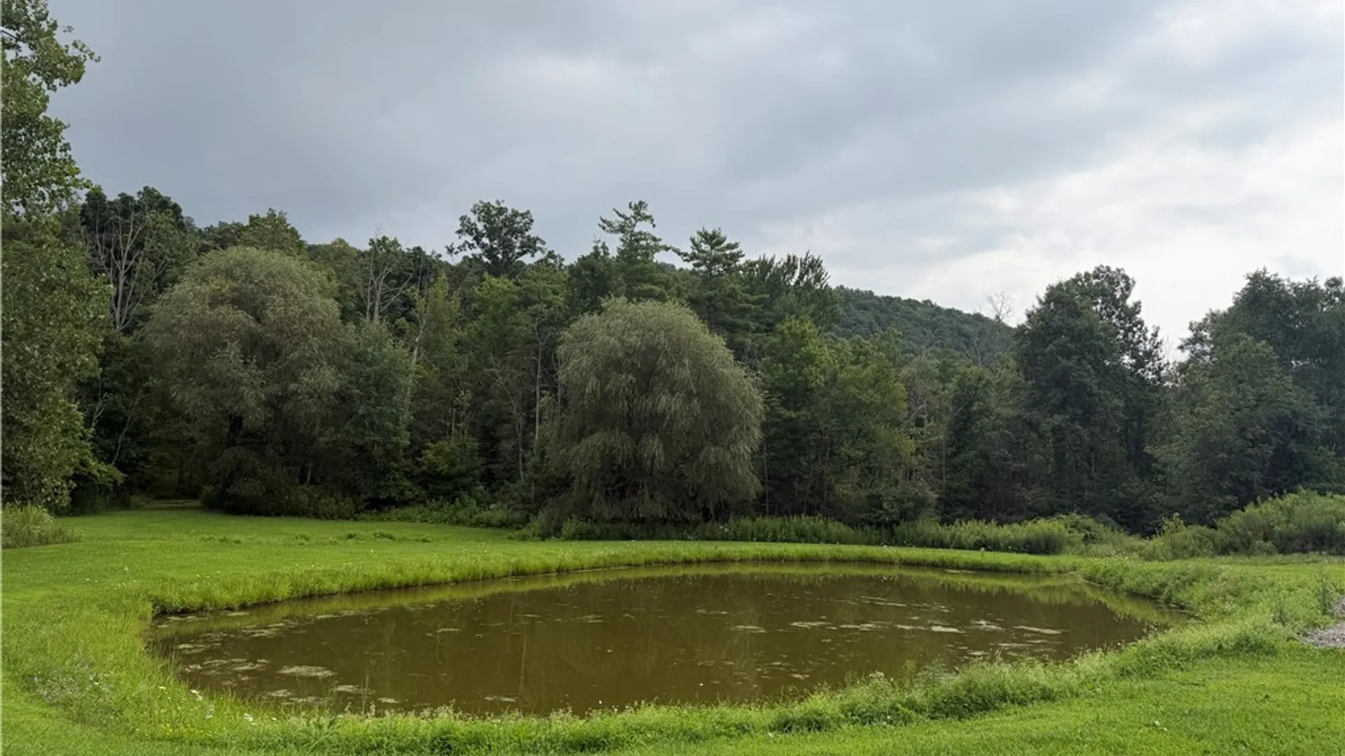 Property at 2250 County Road 10, Catharine, NY 14805 30