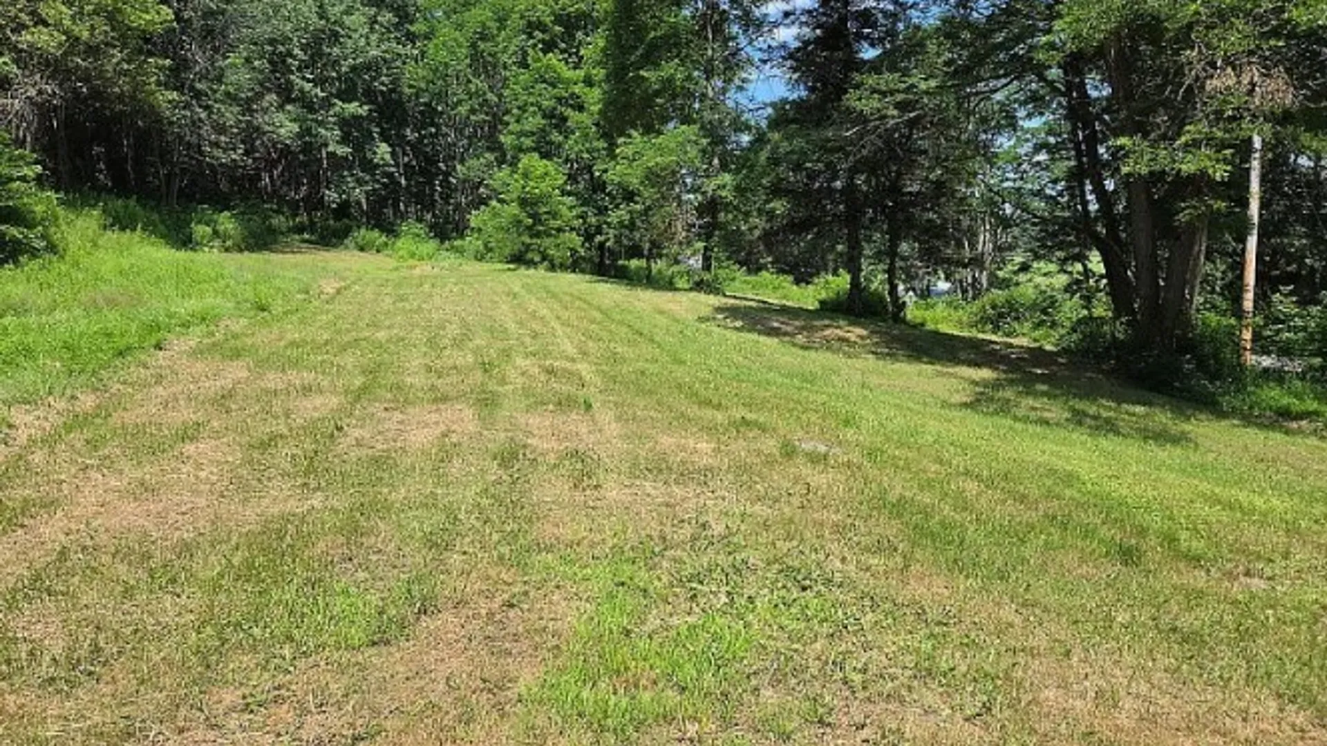 Property at 781 County Highway 52, Middlefield, NY 13326 12