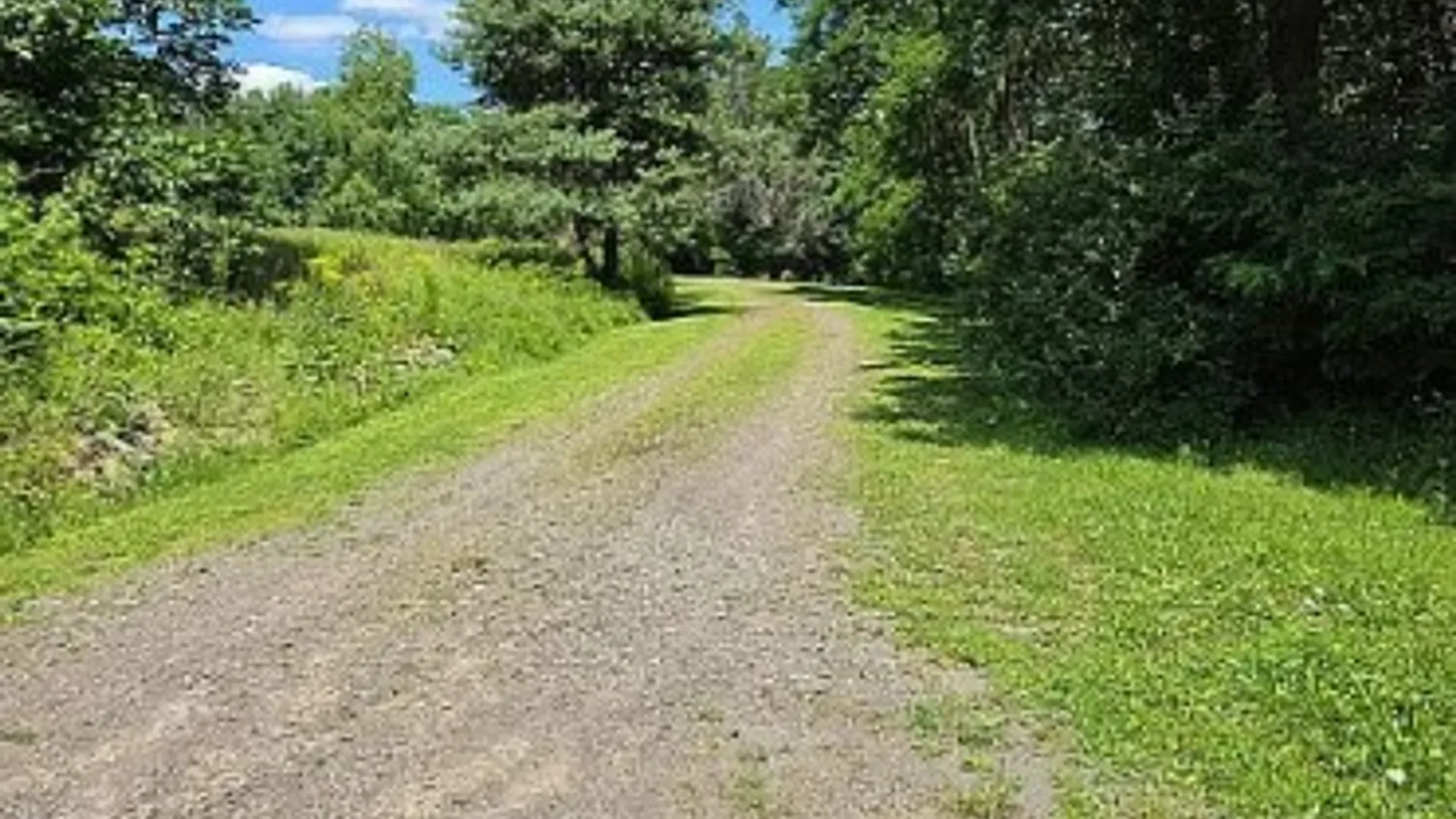 Property at 781 County Highway 52, Middlefield, NY 13326 21