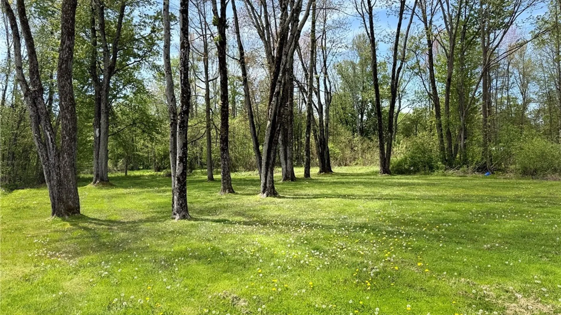 Property at 1460 Lamoy Road, Sullivan, NY 13037 14