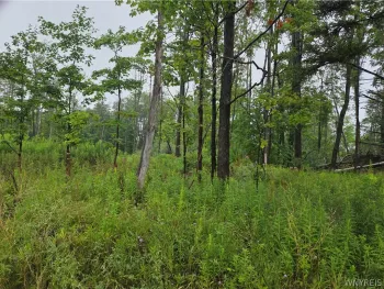 Property at Lot 1 Darien Road, Colden, NY 14033