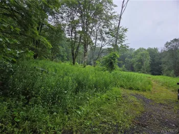 Property at Warner Gulf Road, Holland, NY 14080