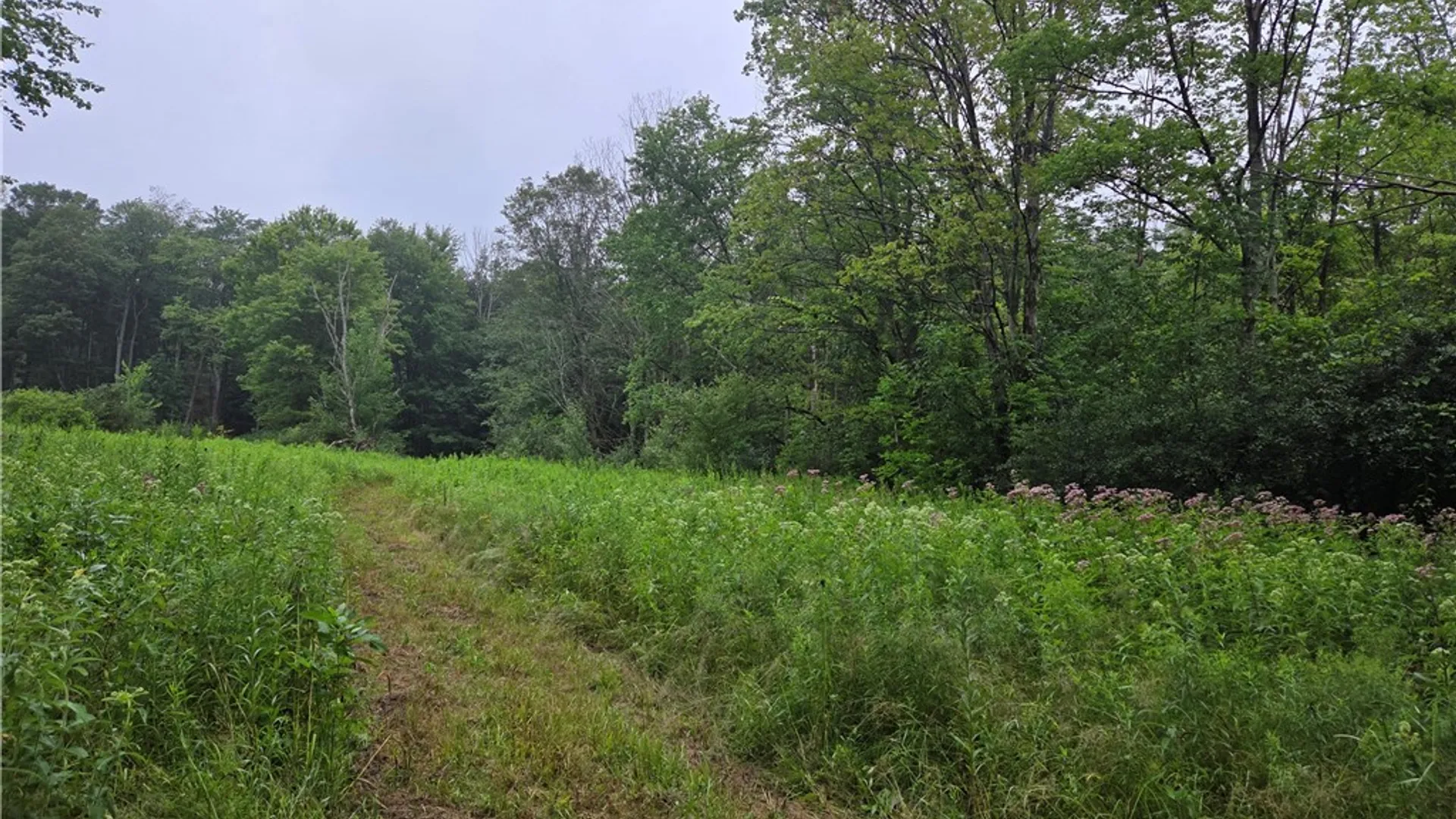 Property at Warner Gulf Road, Holland, NY 14080 3